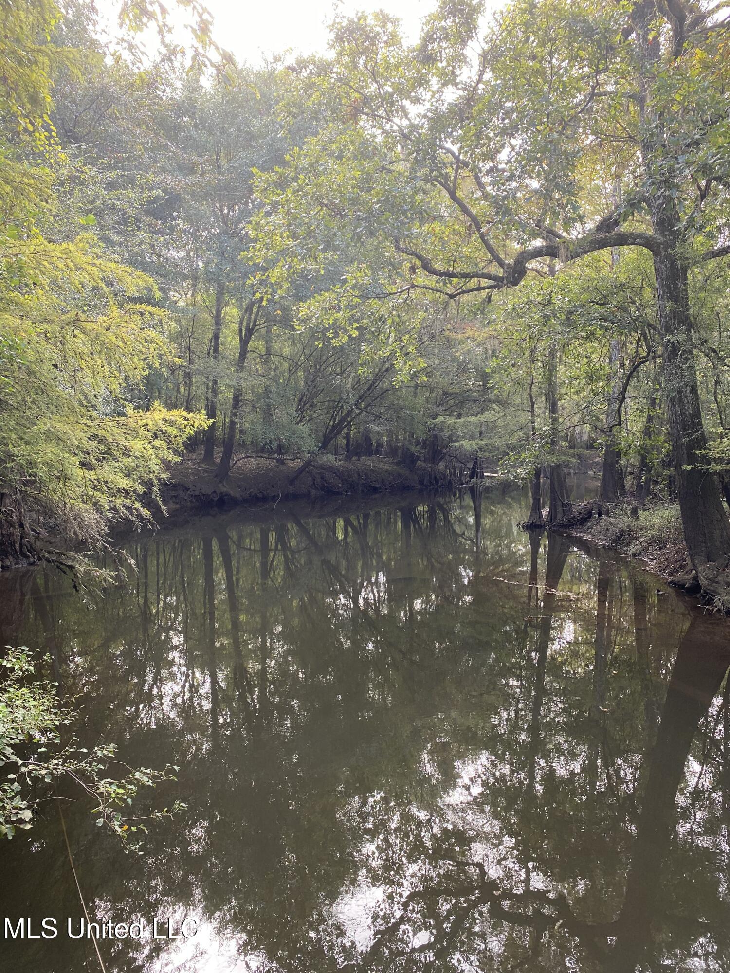 Big Cedar Creek Road Property Photo 9