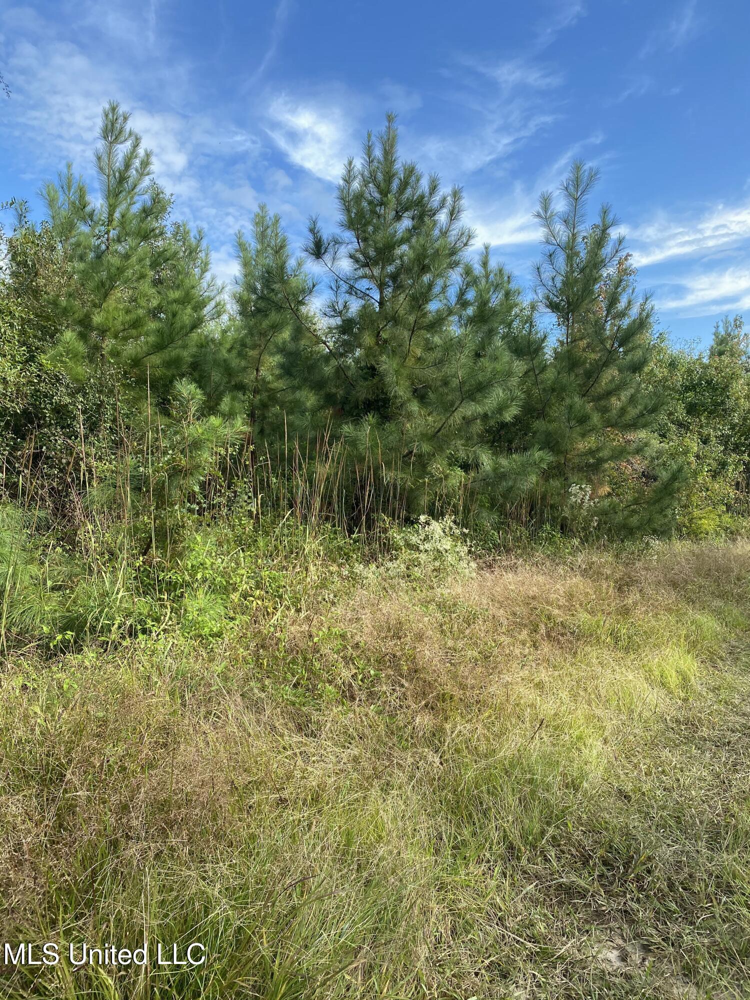 Big Cedar Creek Road Property Photo 11