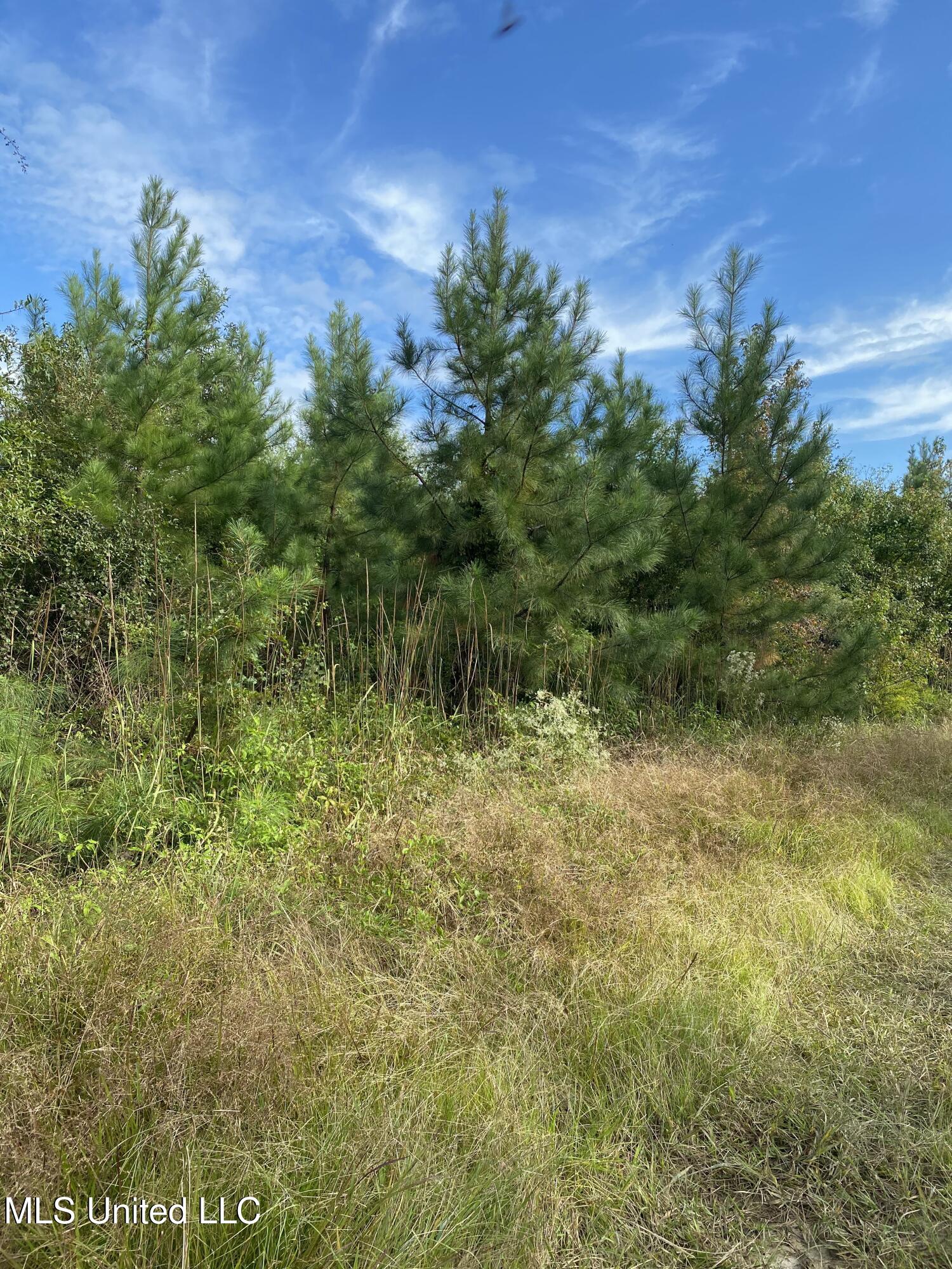 Big Cedar Creek Road Property Photo 12