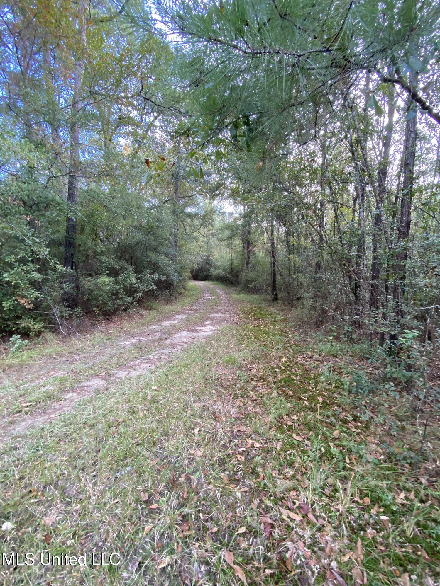 Big Cedar Creek Road Property Photo 13