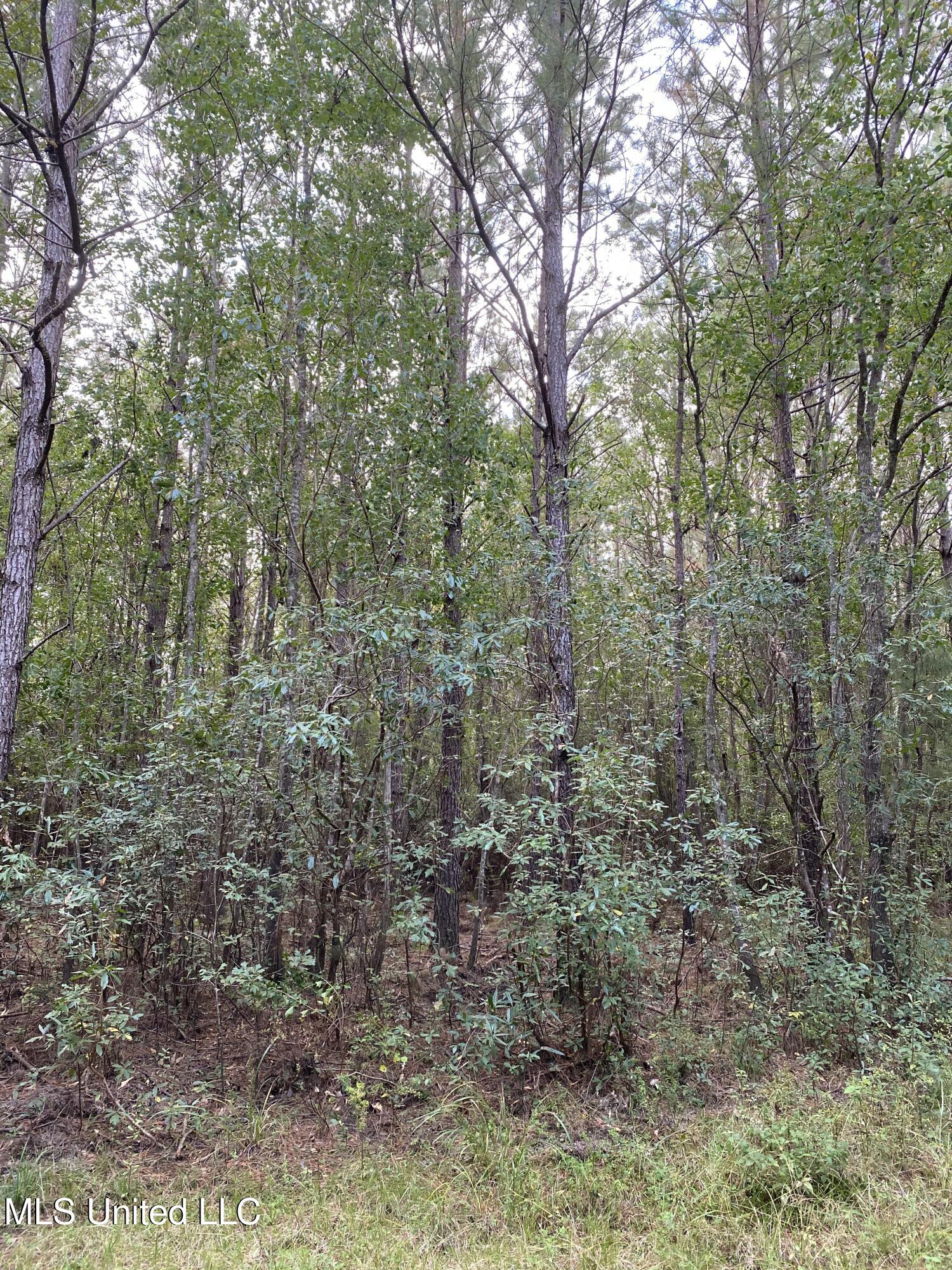 Big Cedar Creek Road Property Photo 14