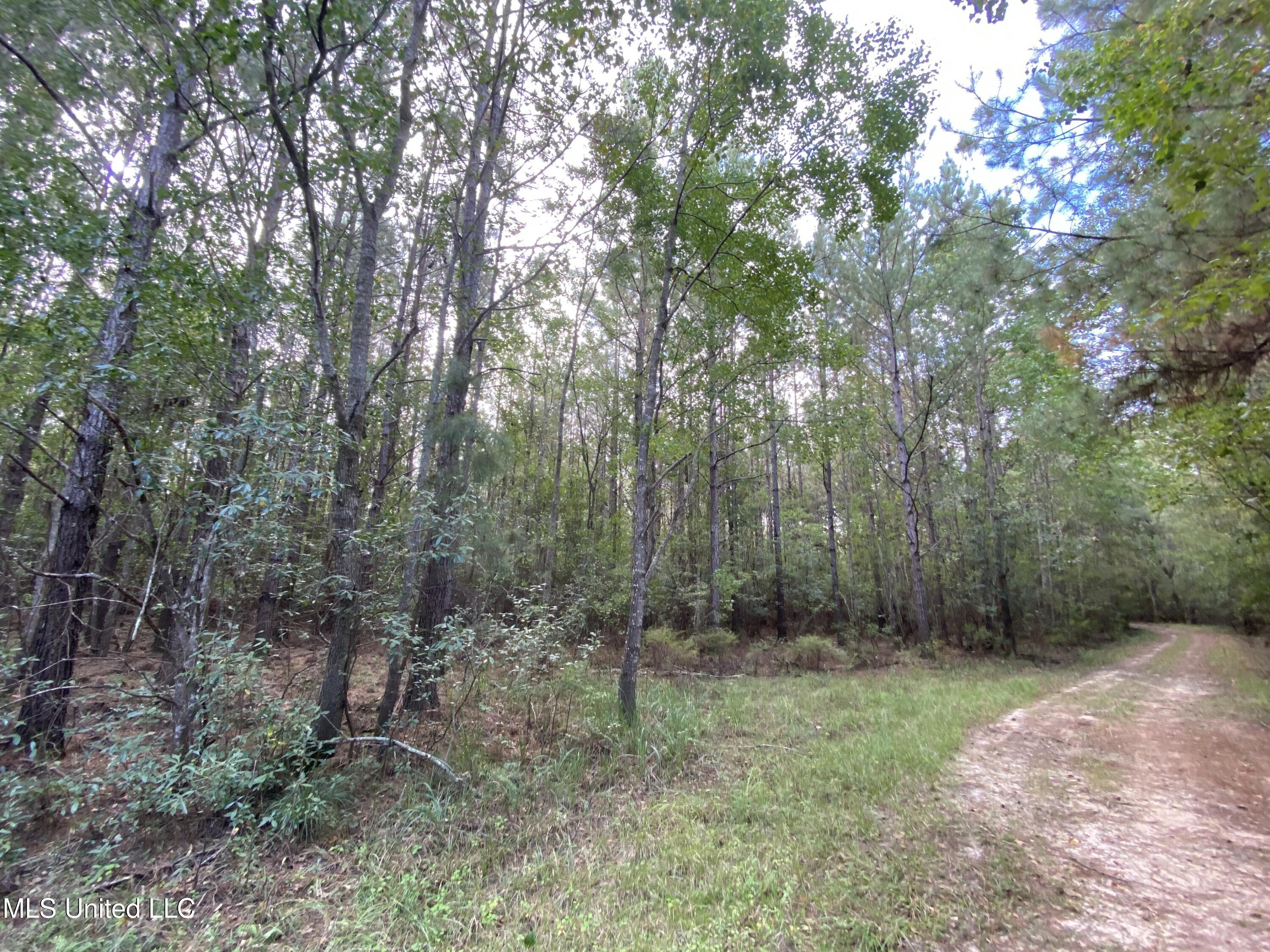 Big Cedar Creek Road Property Photo 15