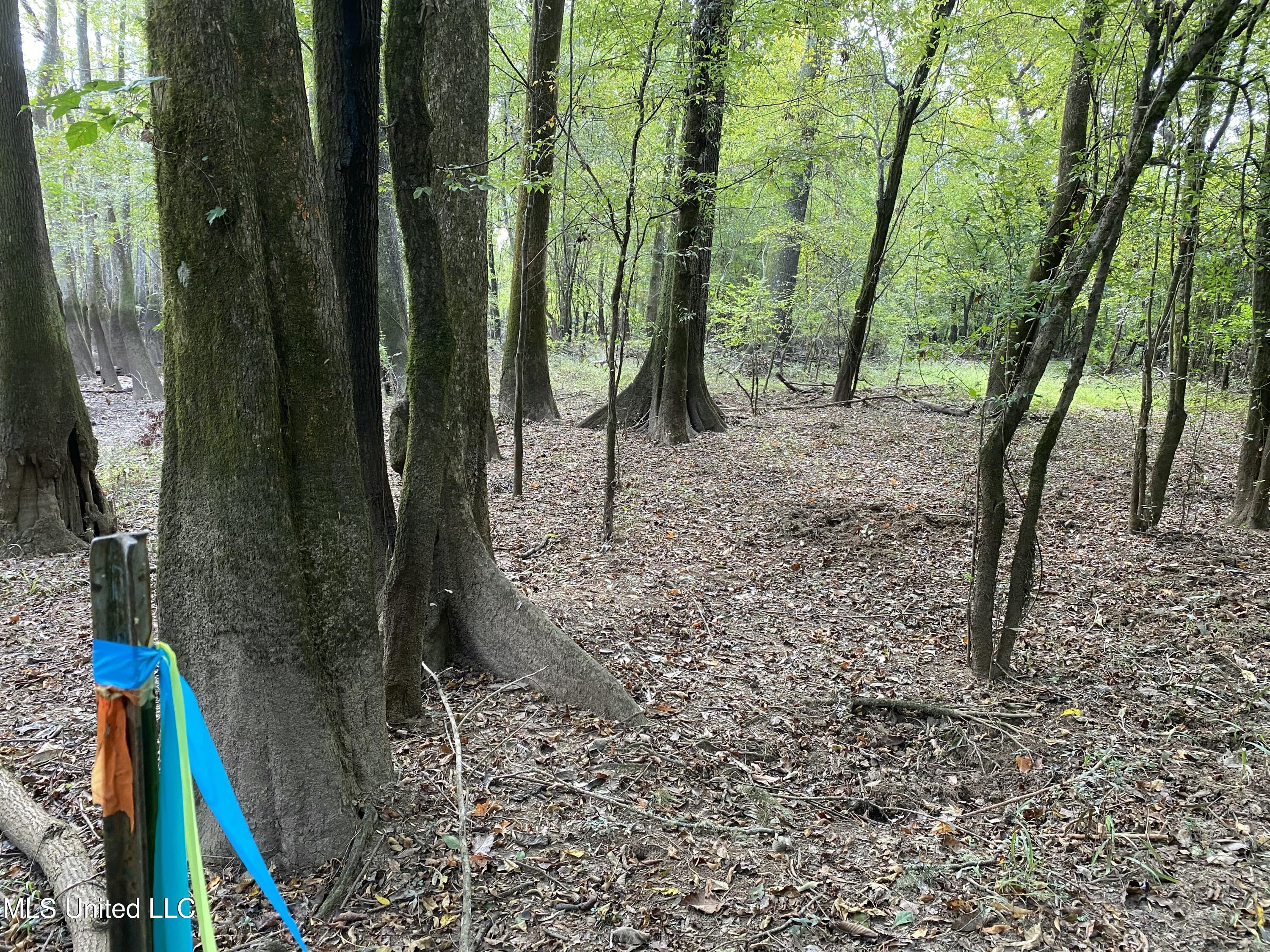 Big Cedar Creek Road Property Photo 17