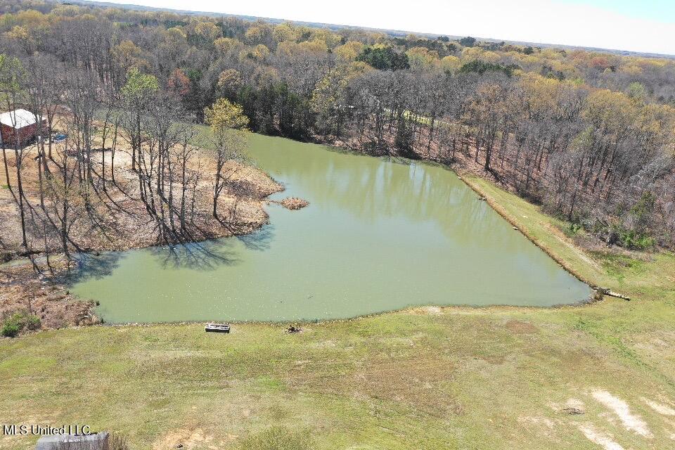 14491 Valley View Cove Property Photo 7