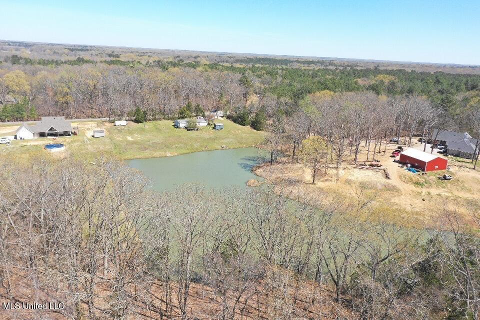 14491 Valley View Cove Property Photo 9