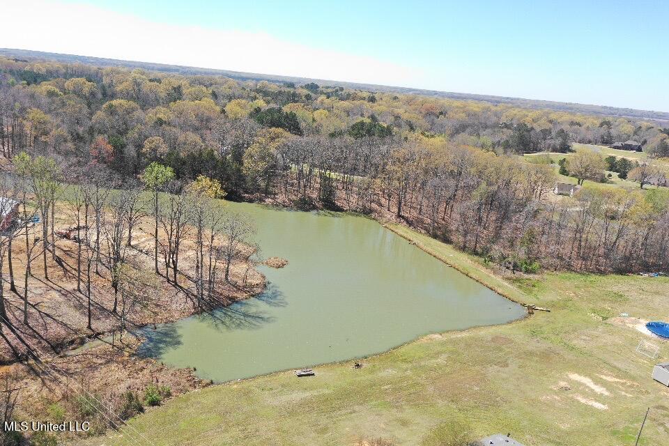 14491 Valley View Cove Property Photo 10