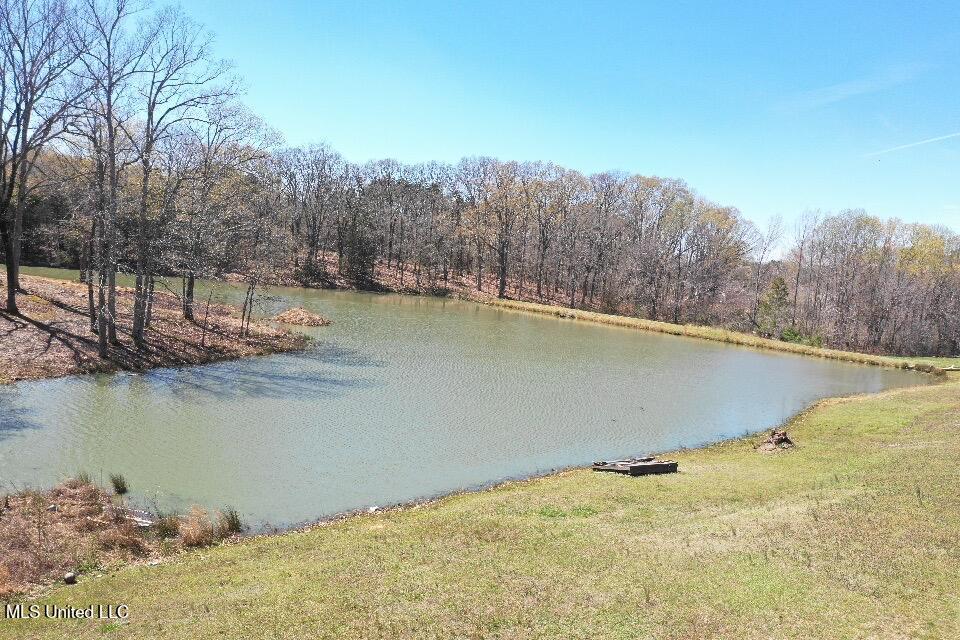 14491 Valley View Cove Property Photo 13