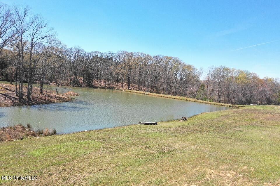 14491 Valley View Cove Property Photo 15