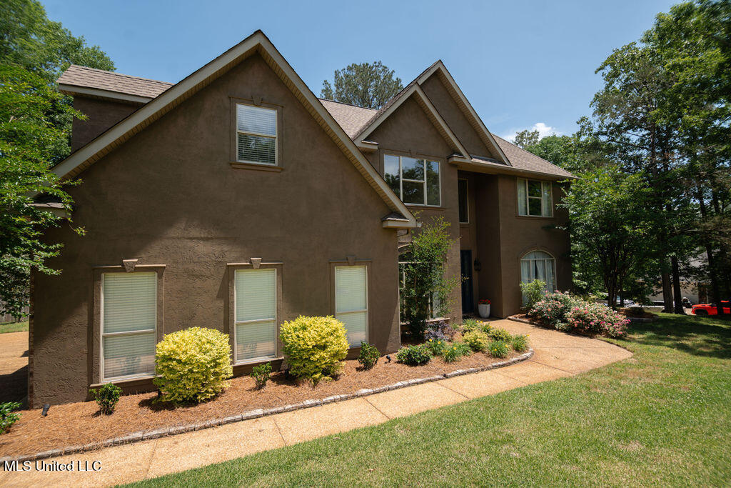 185 Magnolia Springs Drive Property Photo 6