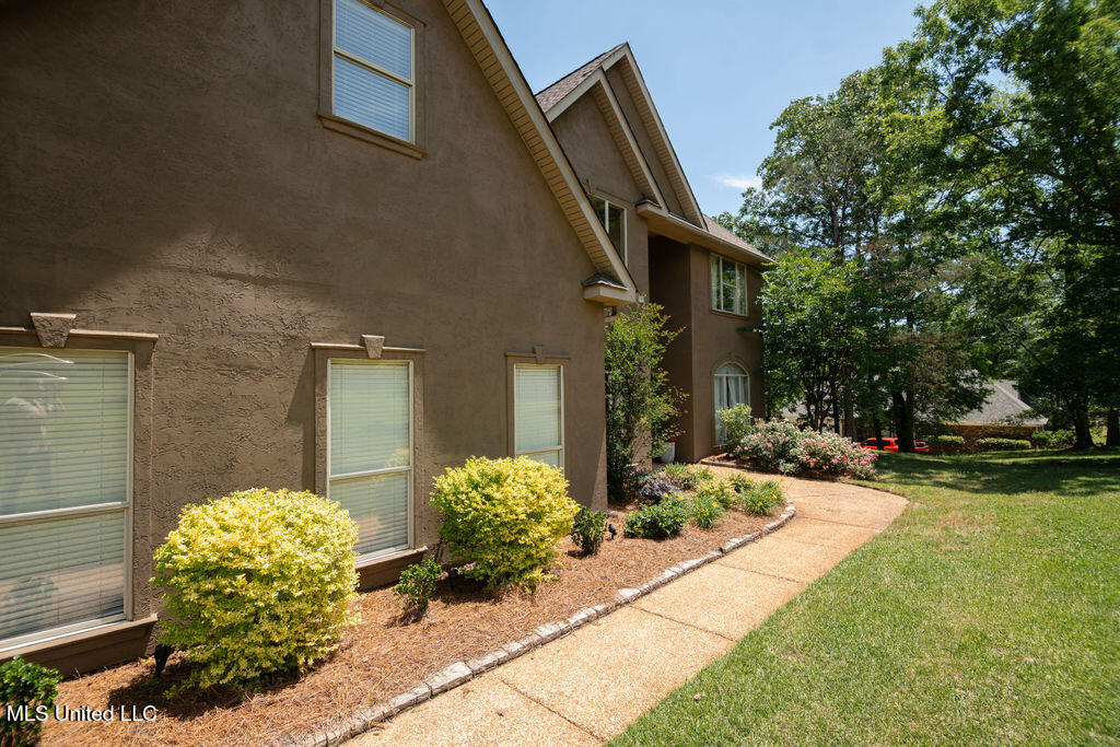 185 Magnolia Springs Drive Property Photo 7