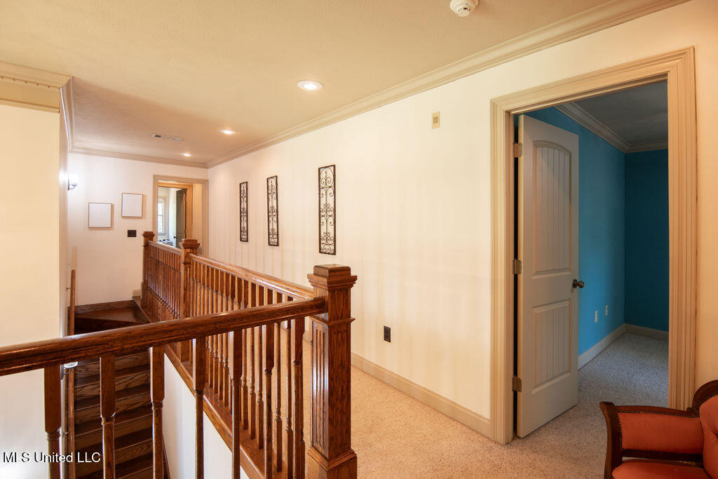 185 Magnolia Springs Drive Property Photo 24