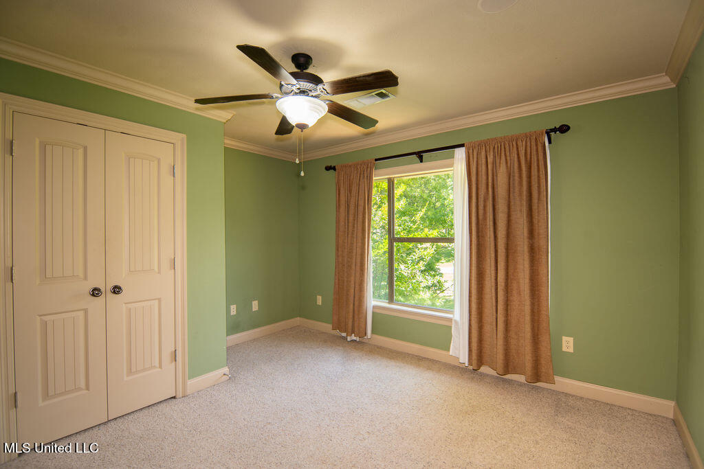 185 Magnolia Springs Drive Property Photo 28