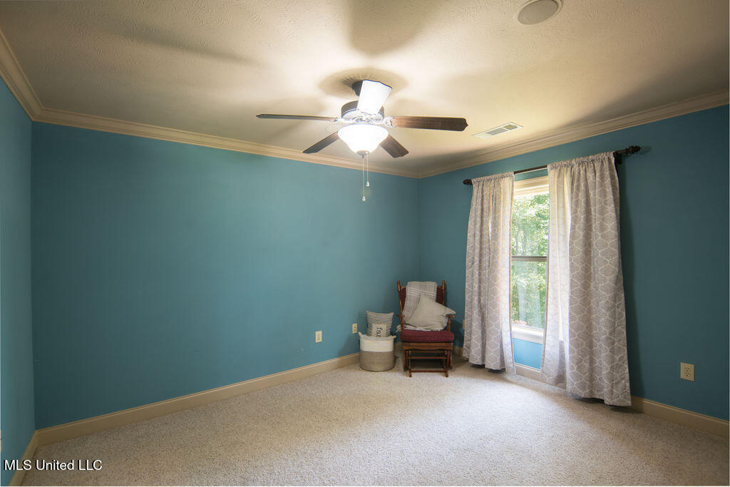 185 Magnolia Springs Drive Property Photo 29