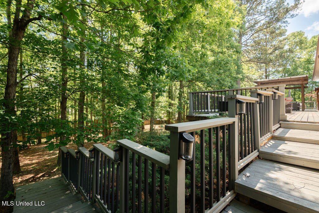 185 Magnolia Springs Drive Property Photo 38