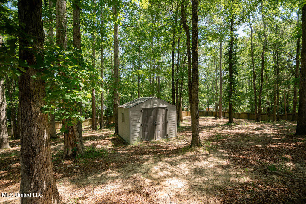 185 Magnolia Springs Drive Property Photo 39