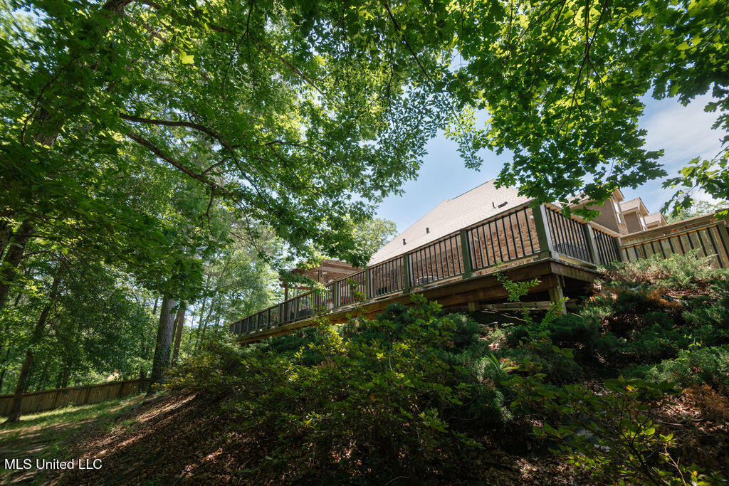 185 Magnolia Springs Drive Property Photo 40
