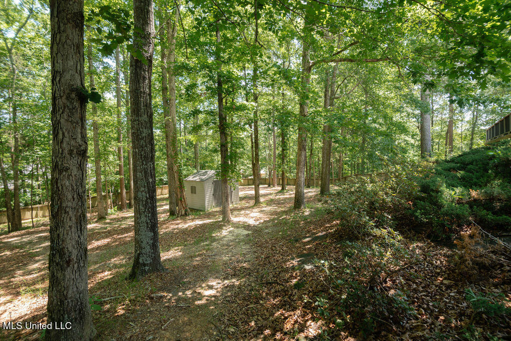 185 Magnolia Springs Drive Property Photo 41