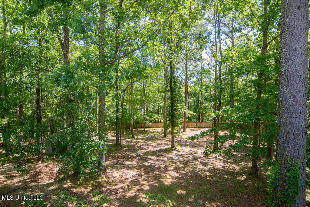 185 Magnolia Springs Drive Property Photo 42