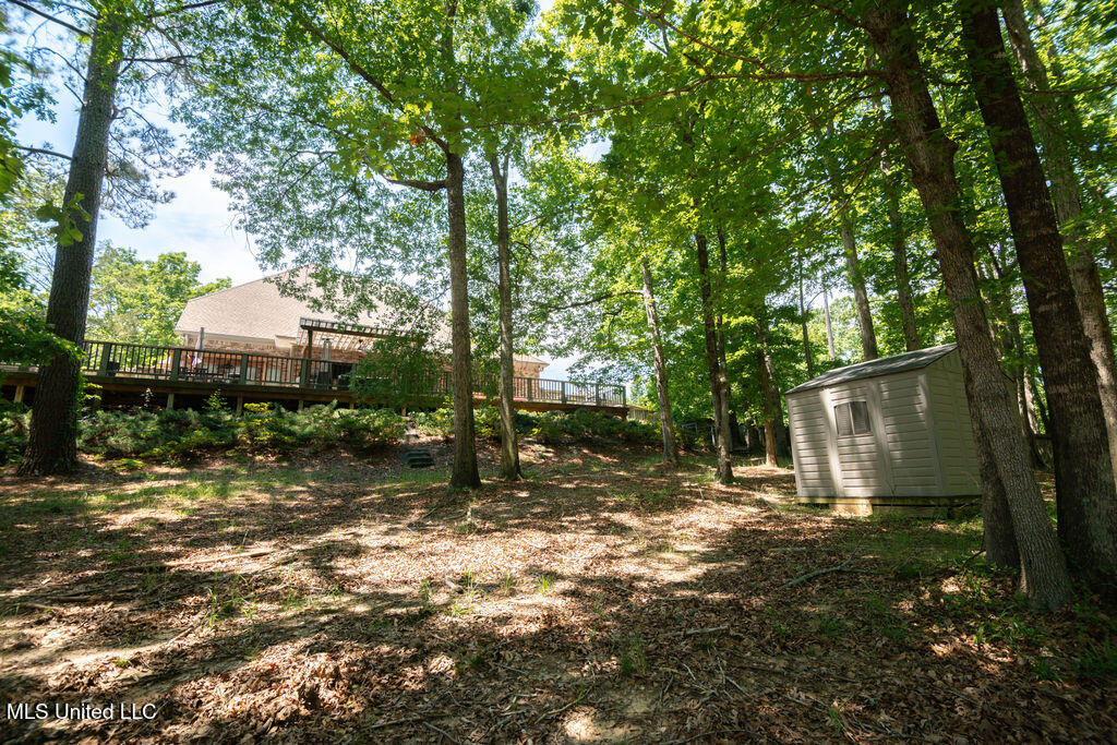 185 Magnolia Springs Drive Property Photo 43