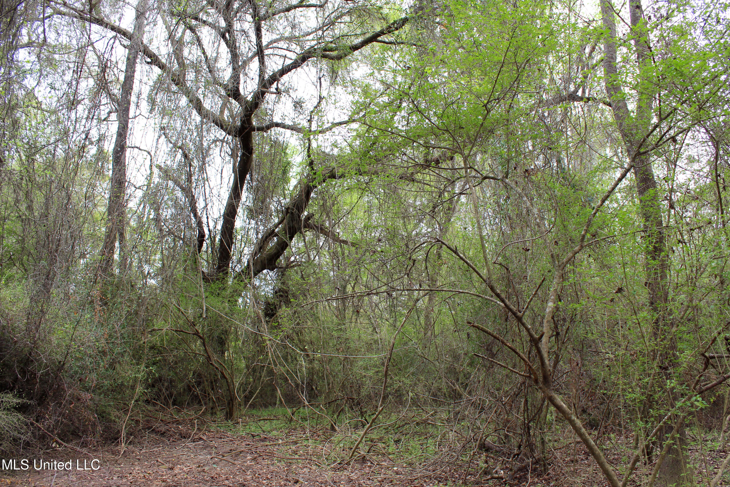 Lot 7 Frank Snell Road Property Photo 1