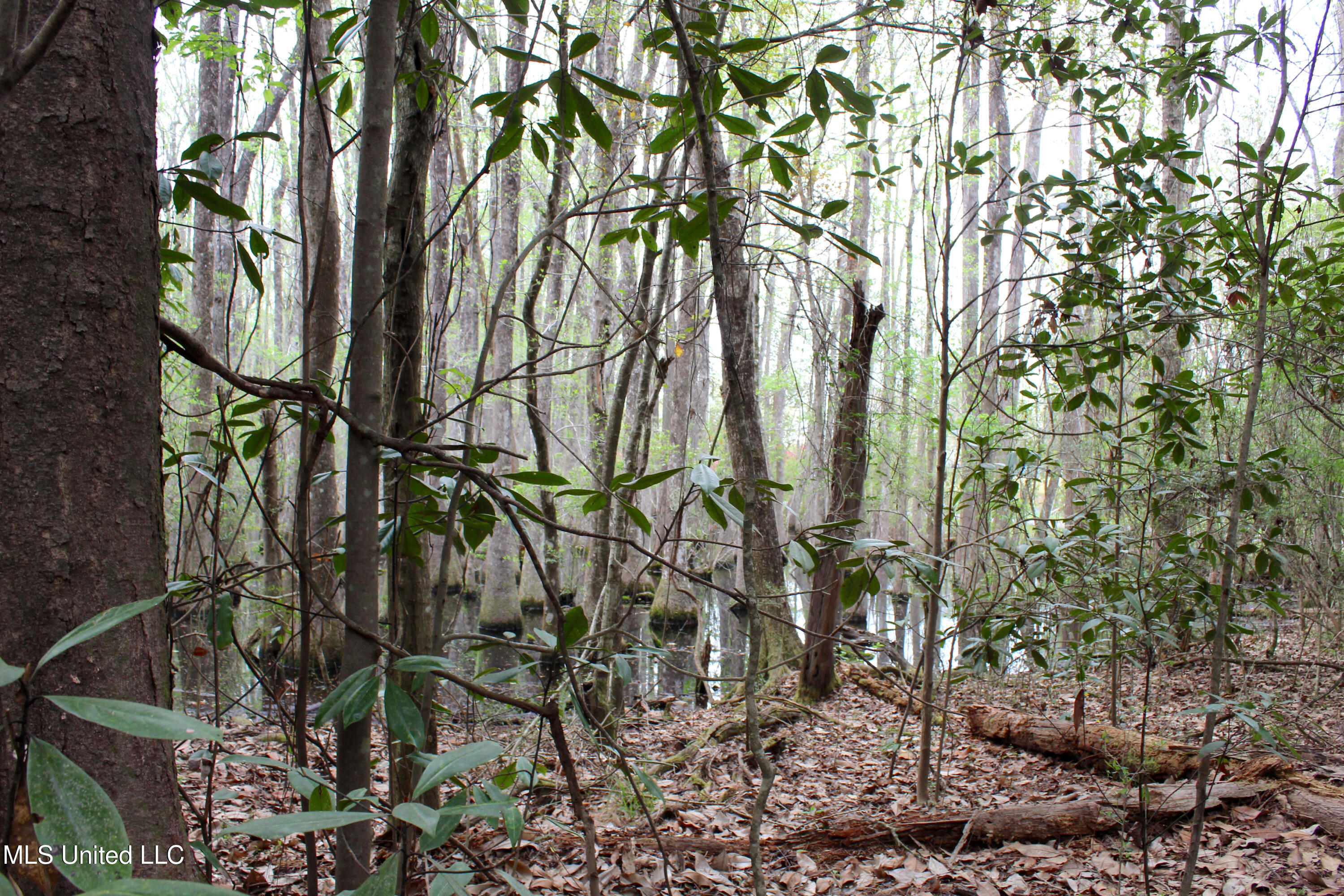 Lot 7 Frank Snell Road Property Photo 2