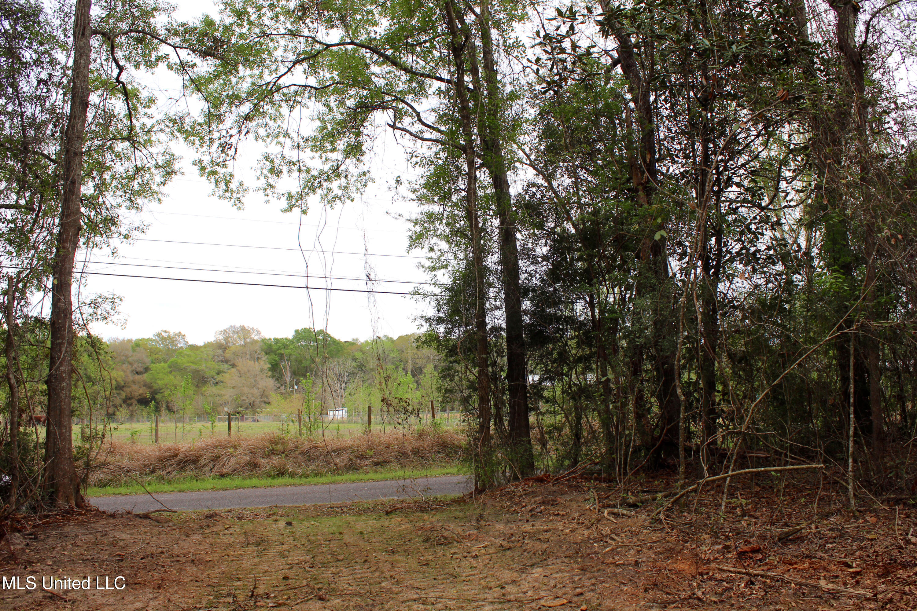 Lot 7 Frank Snell Road Property Photo 3