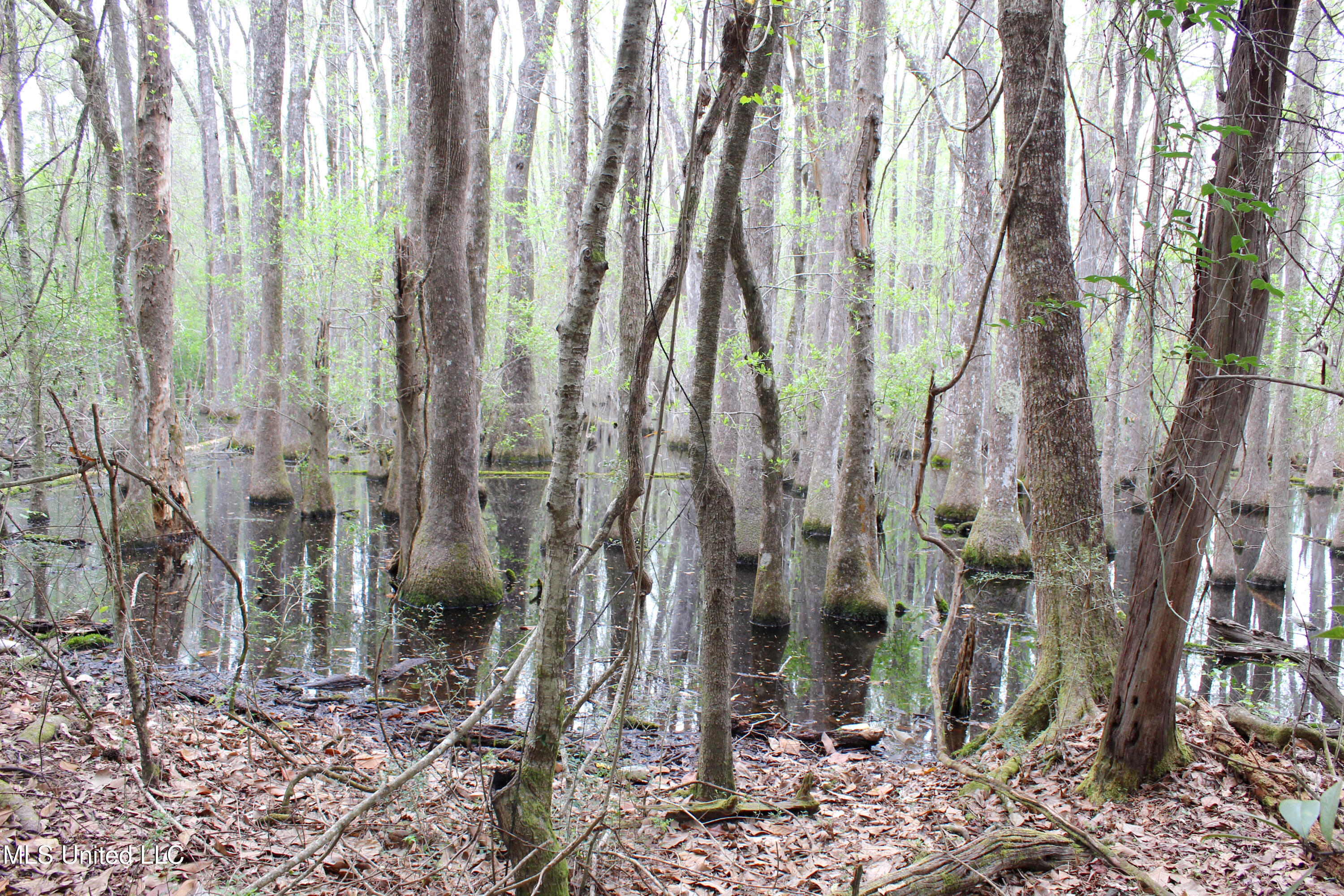 Lot 7 Frank Snell Road Property Photo 4