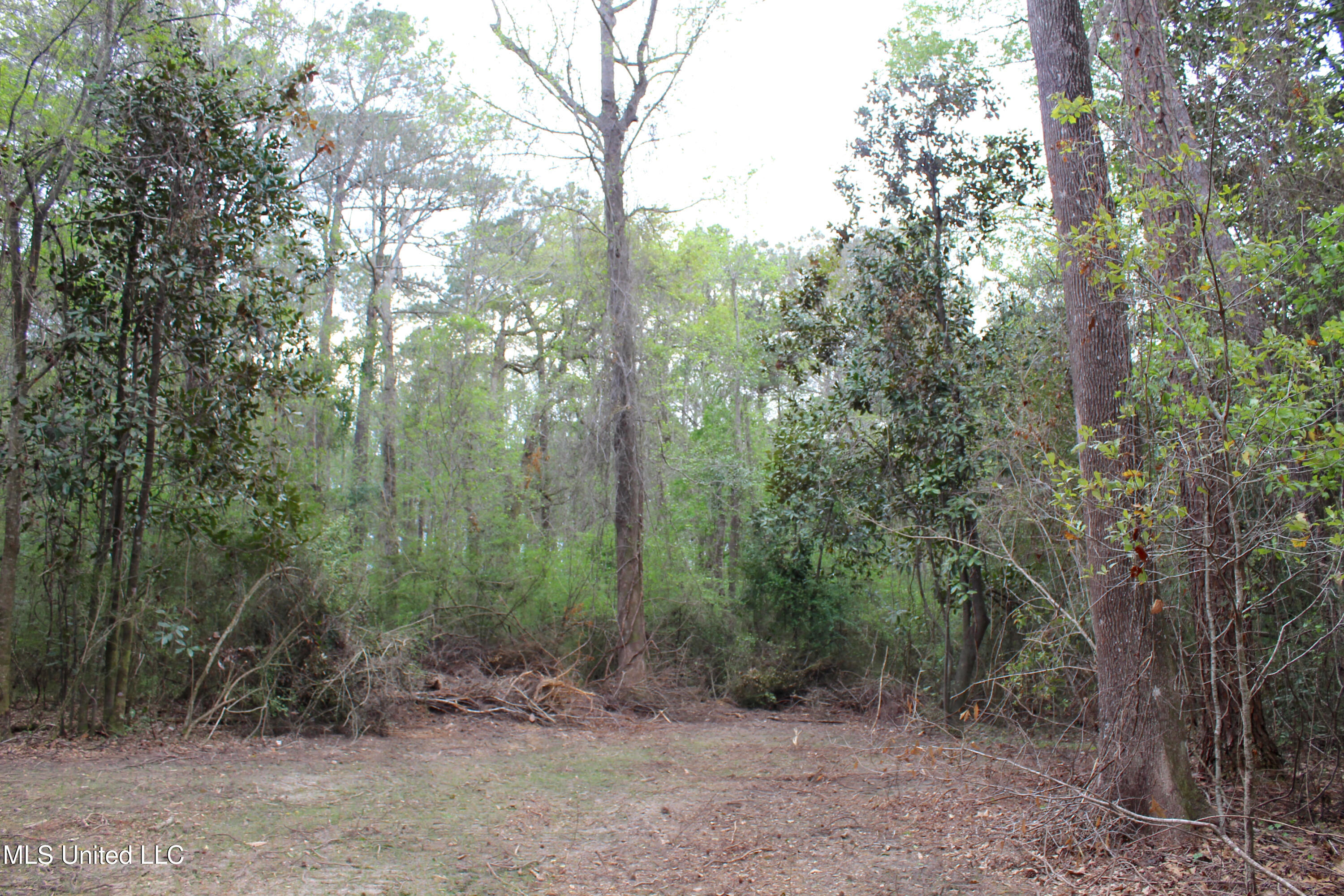 Lot 7 Frank Snell Road Property Photo 8