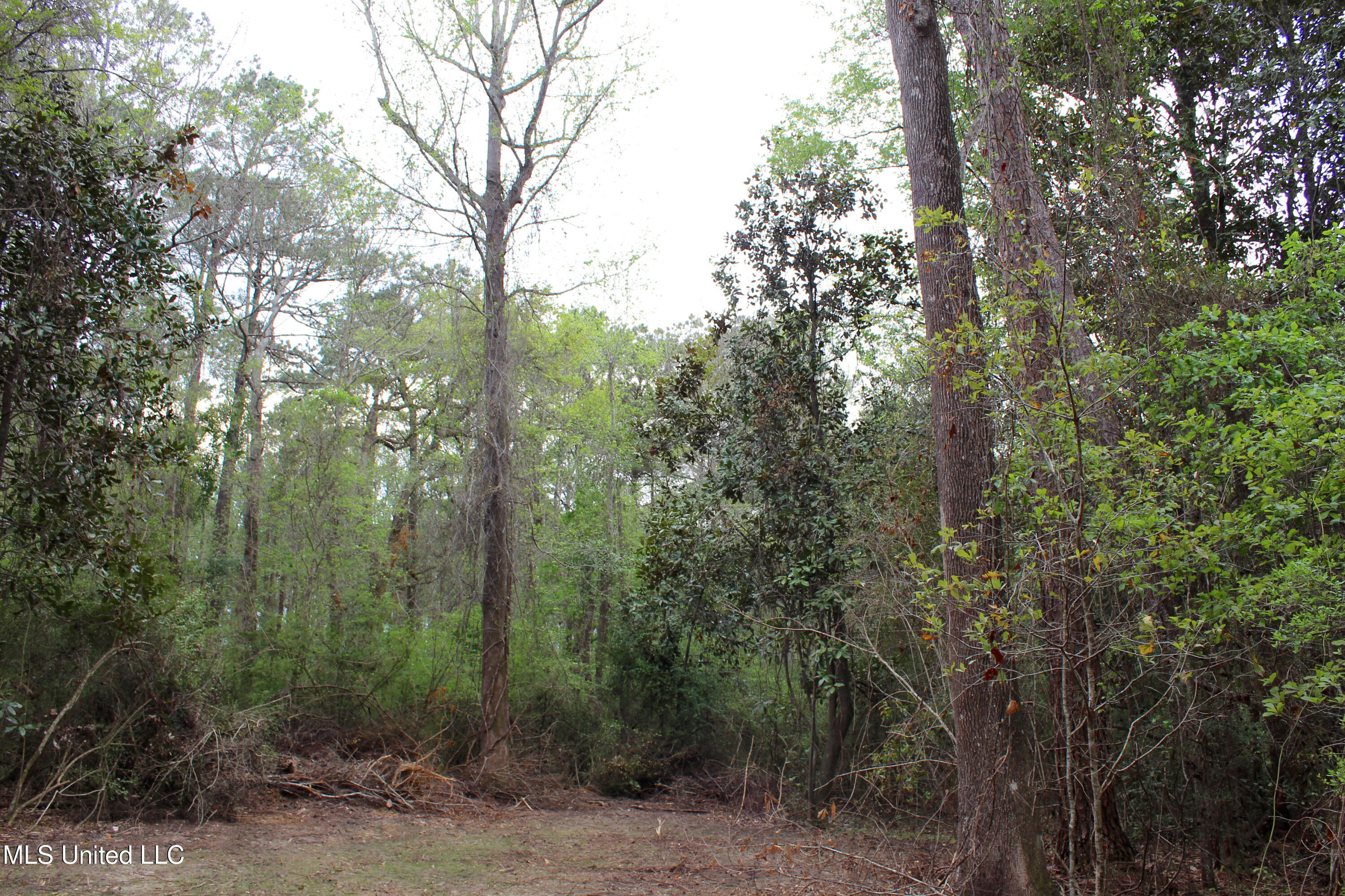 Lot 7 Frank Snell Road Property Photo 9