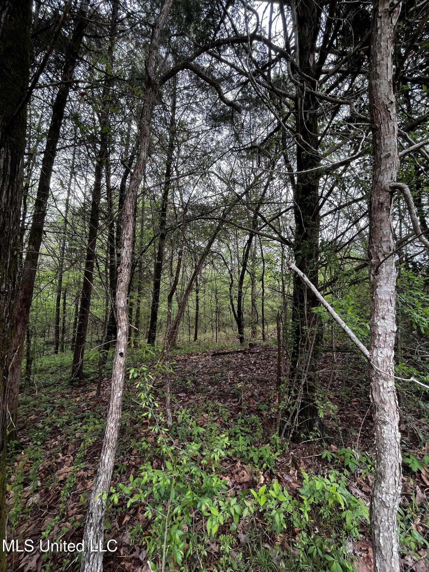 990 Conley Property Photo 3