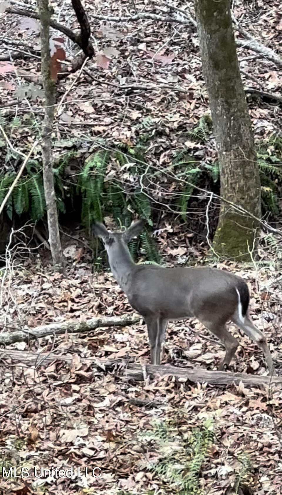 990 Conley Property Photo 4