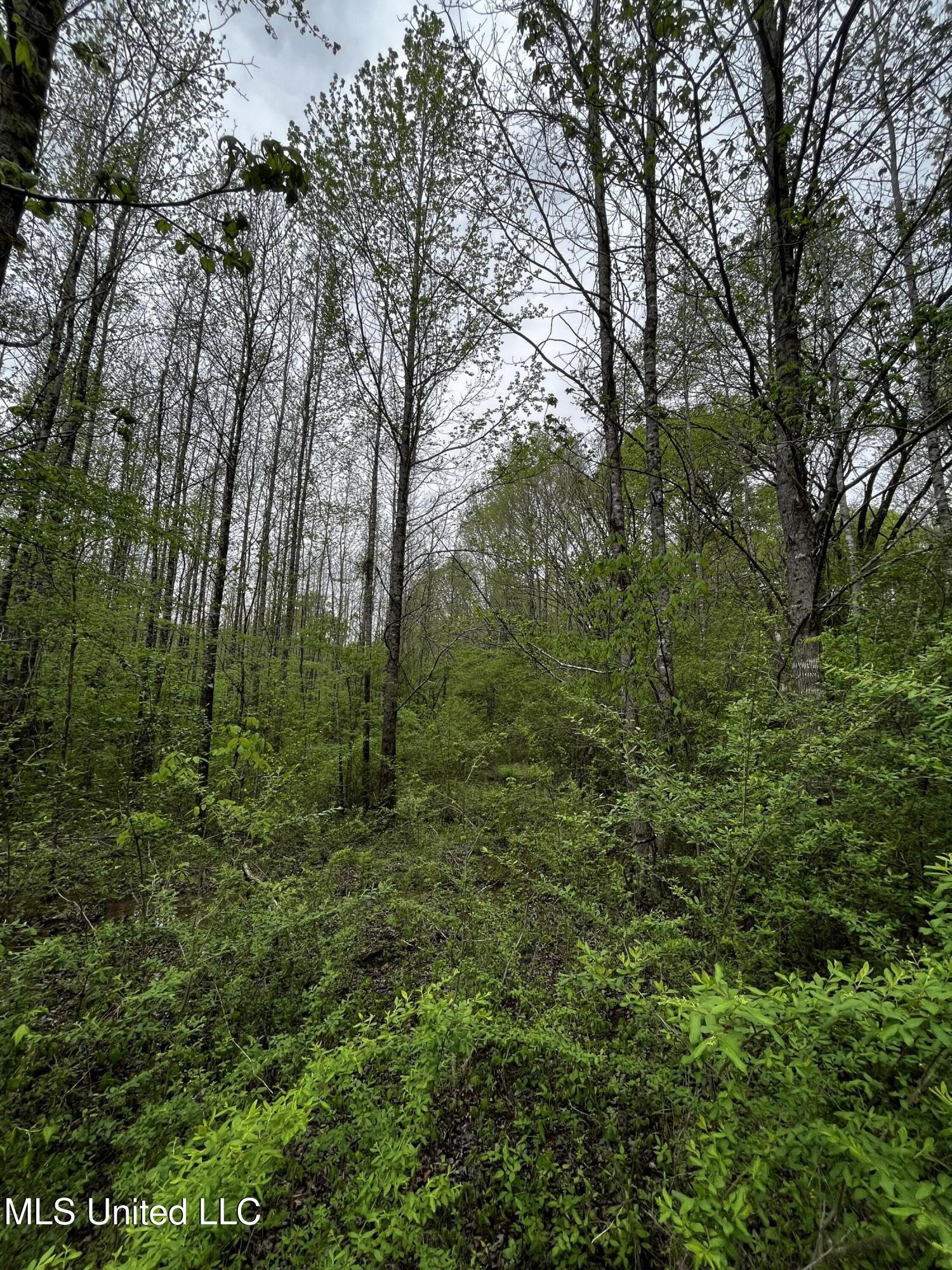 990 Conley Property Photo 5