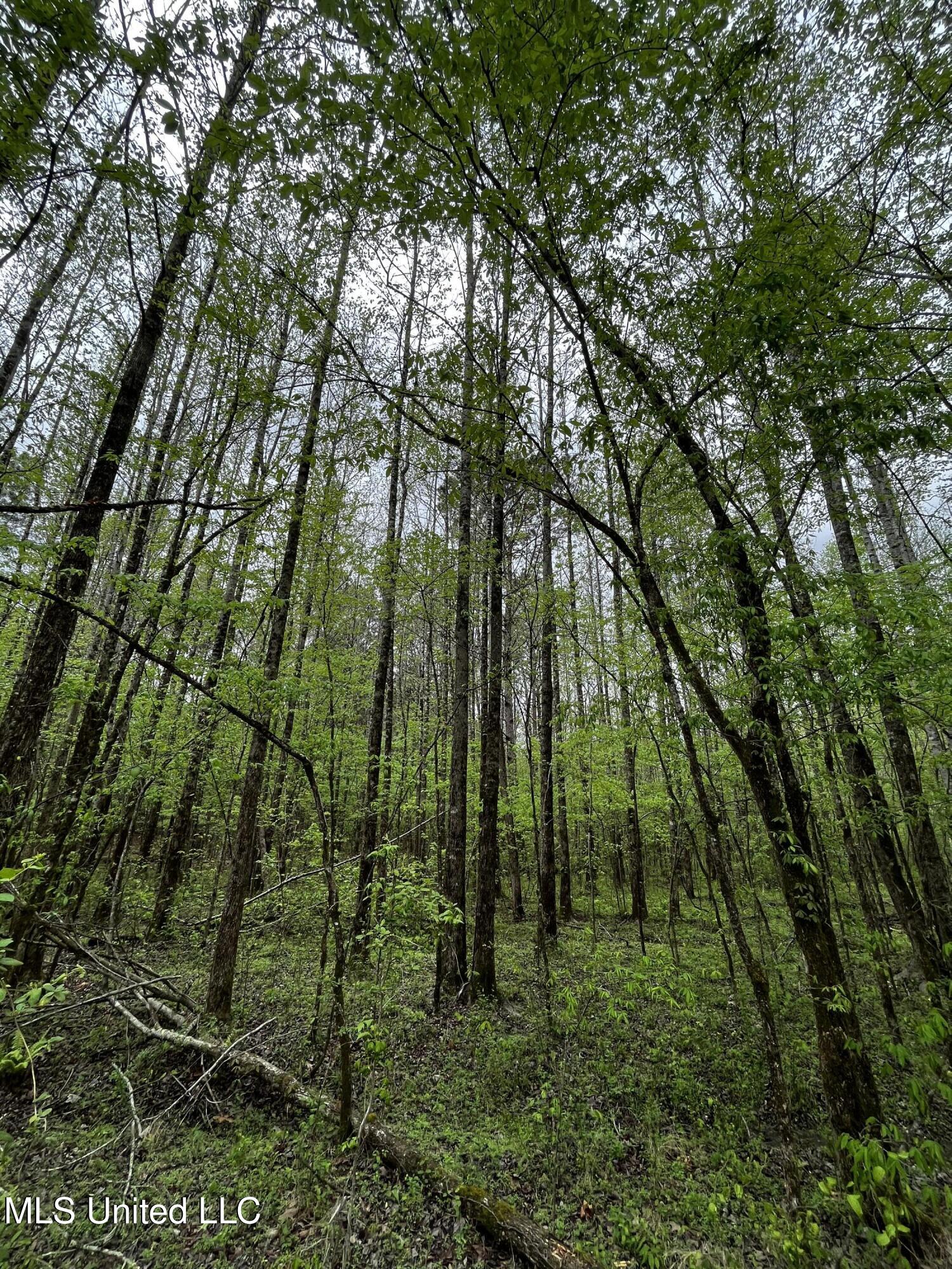 990 Conley Property Photo 6