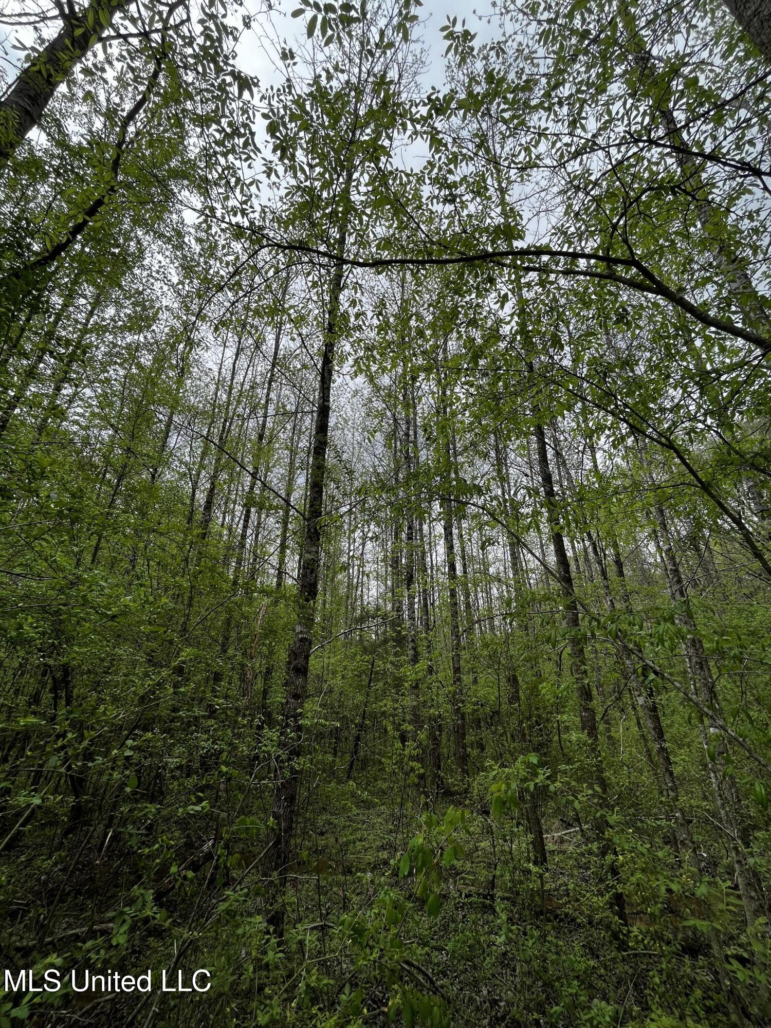 990 Conley Property Photo 7