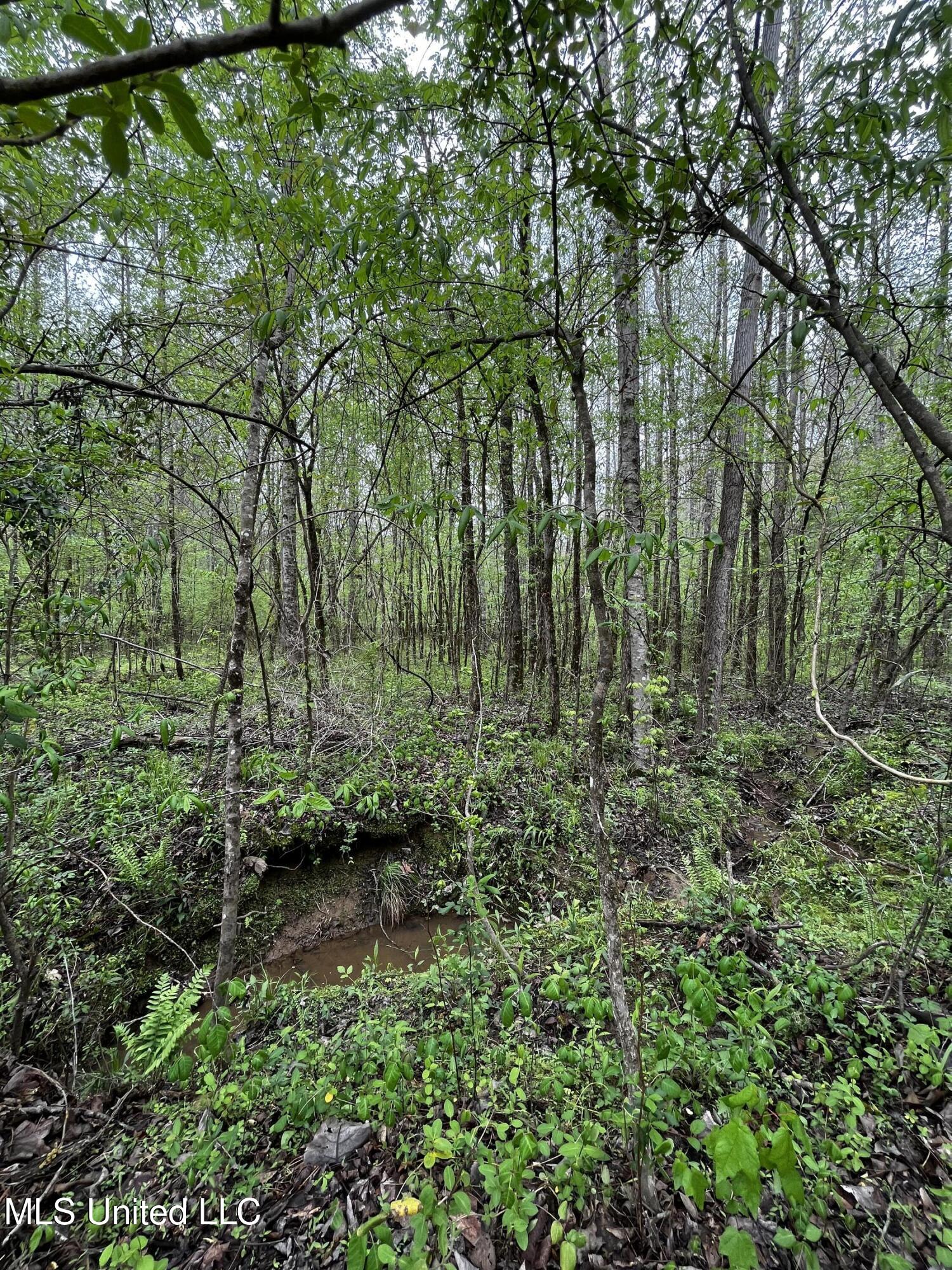 990 Conley Property Photo 8