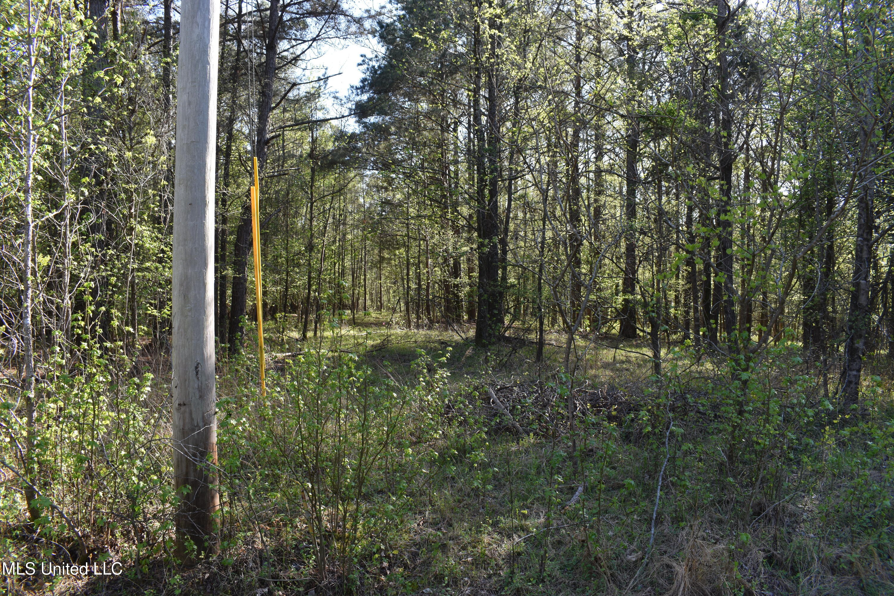 0 Leonard Lane Property Photo 15