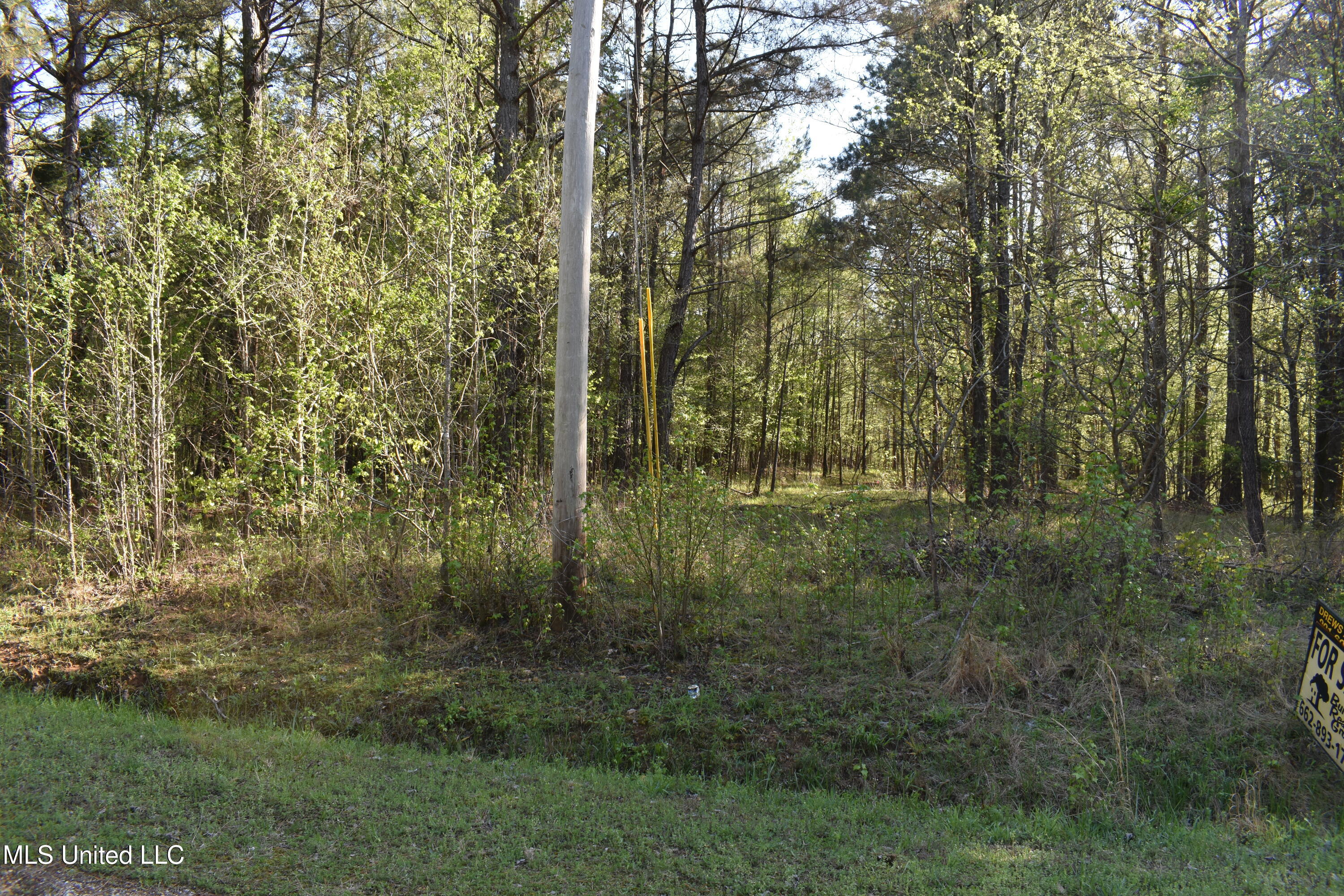 0 Leonard Lane Property Photo 19