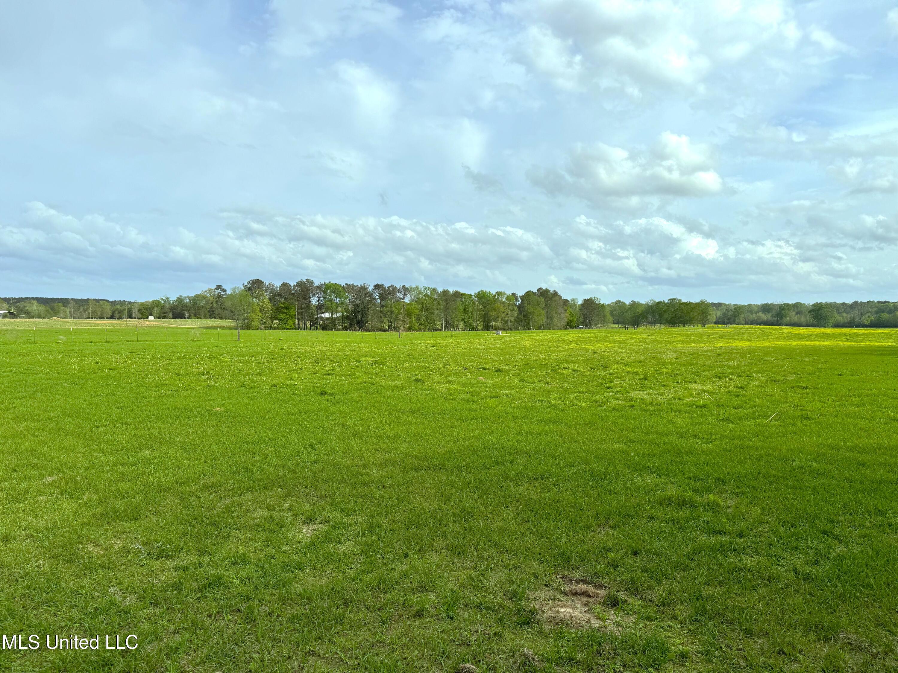 2509 Bogue Chitto Road Property Photo 1