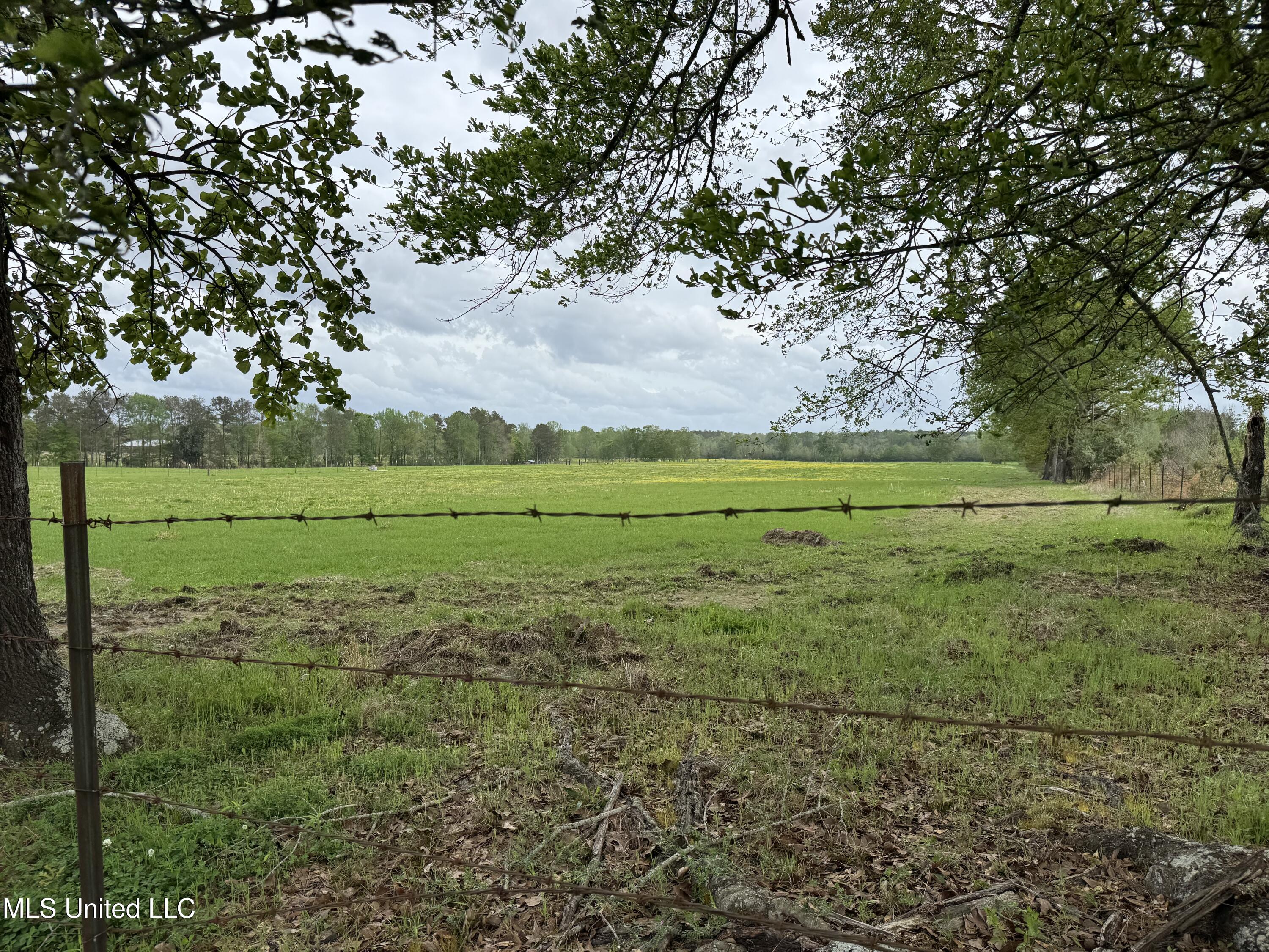 2509 Bogue Chitto Road Property Photo 2