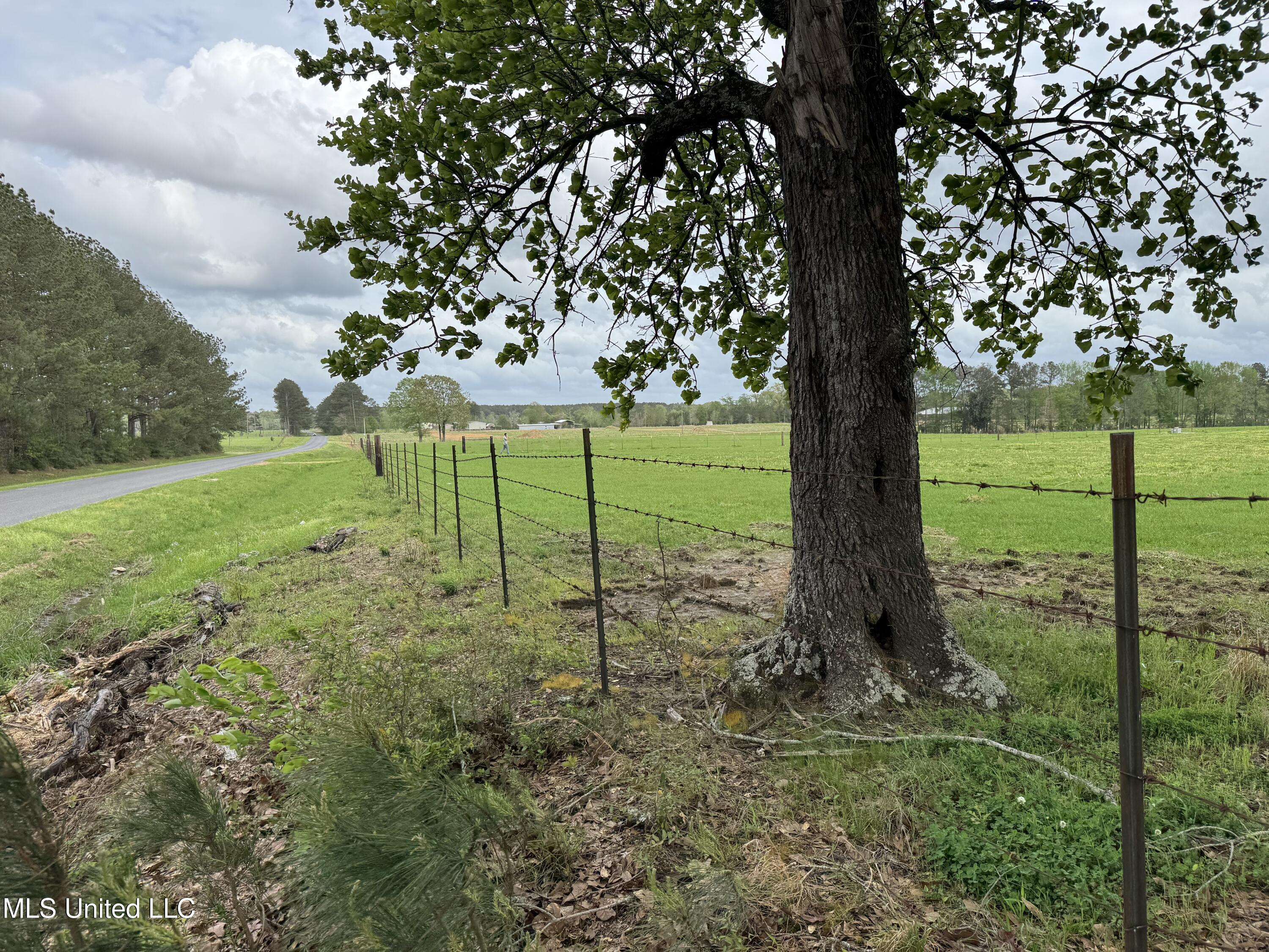 2509 Bogue Chitto Road Property Photo 3