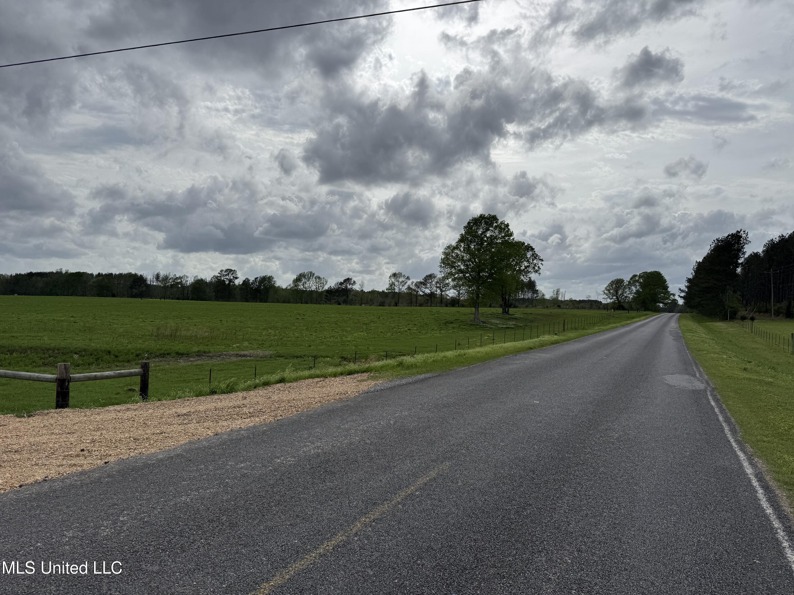 2509 Bogue Chitto Road Property Photo 4