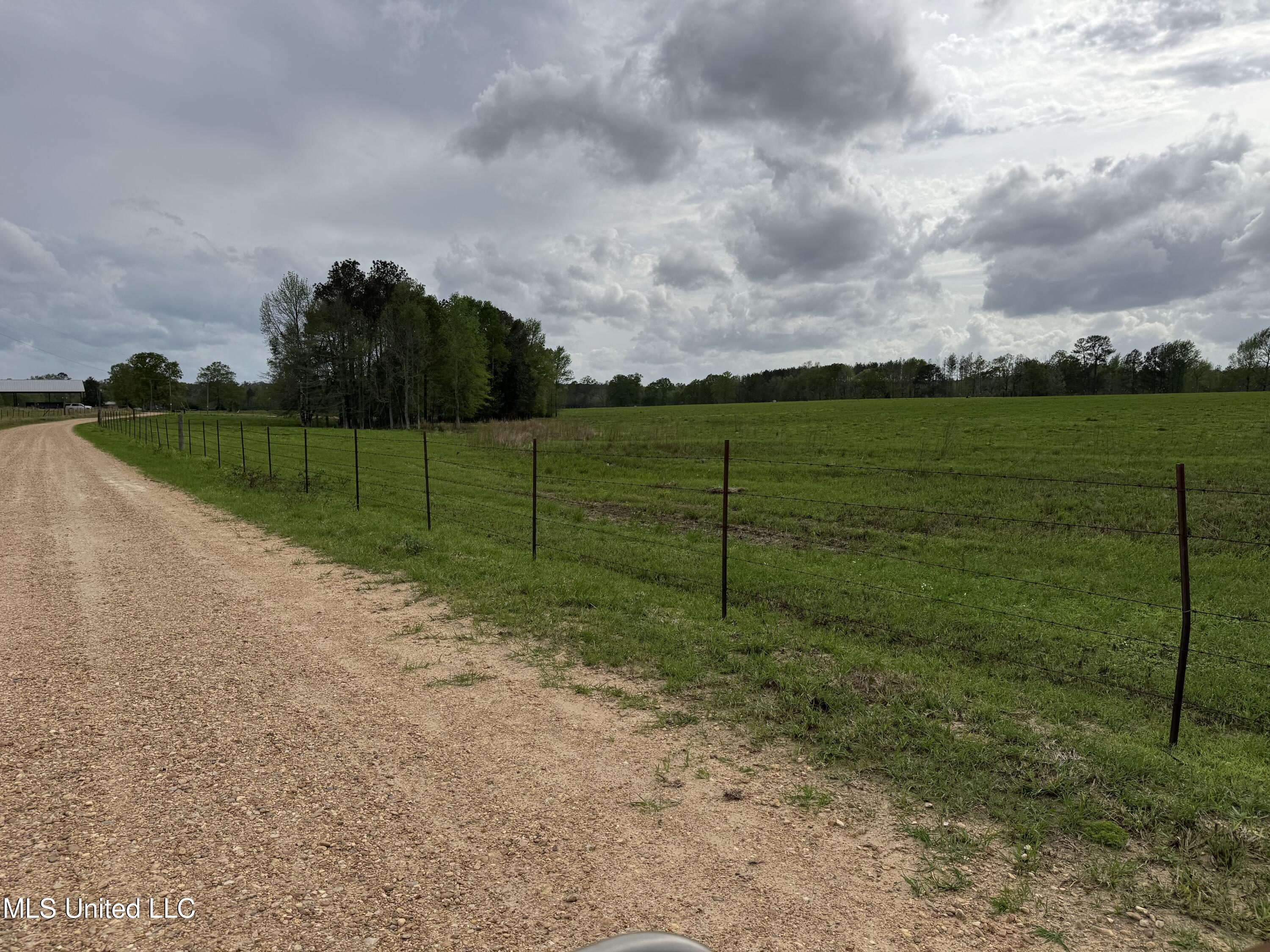 2509 Bogue Chitto Road Property Photo 6