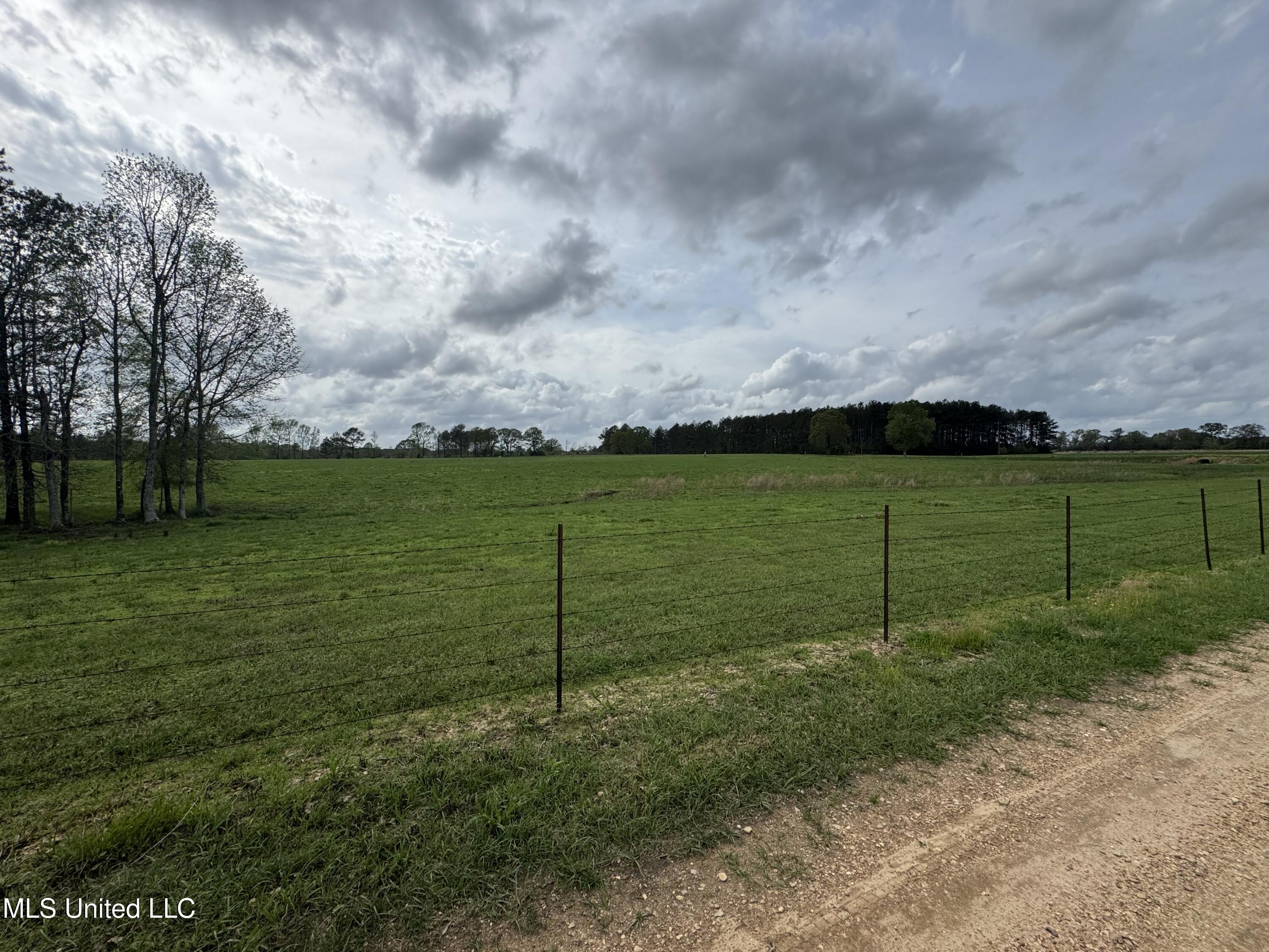 2509 Bogue Chitto Road Property Photo 8