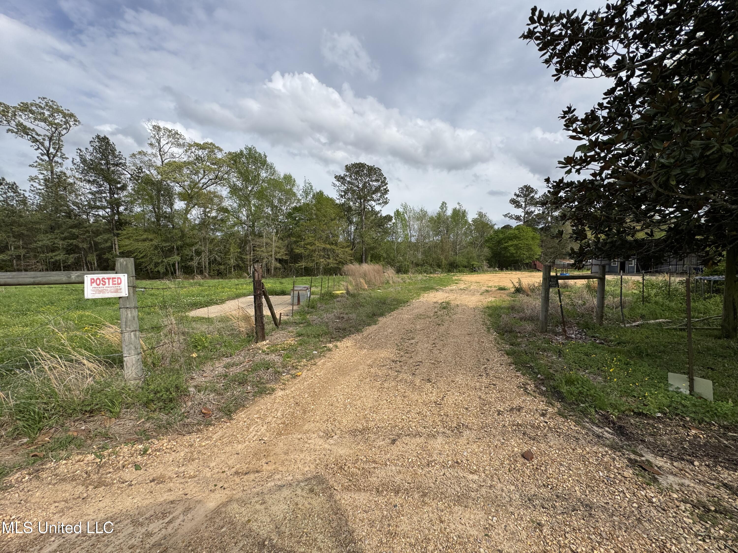 2509 Bogue Chitto Road Property Photo 9