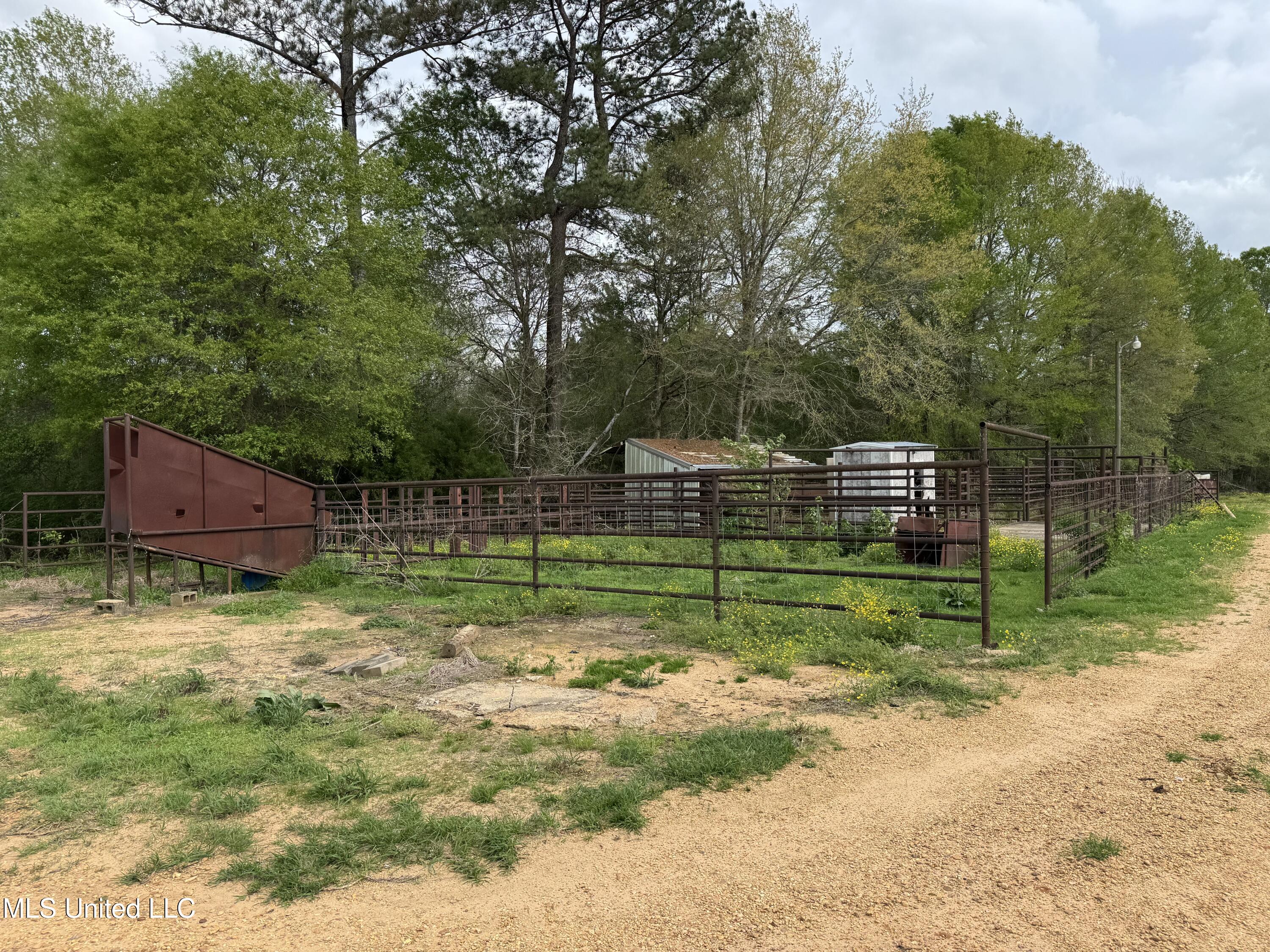 2509 Bogue Chitto Road Property Photo 13
