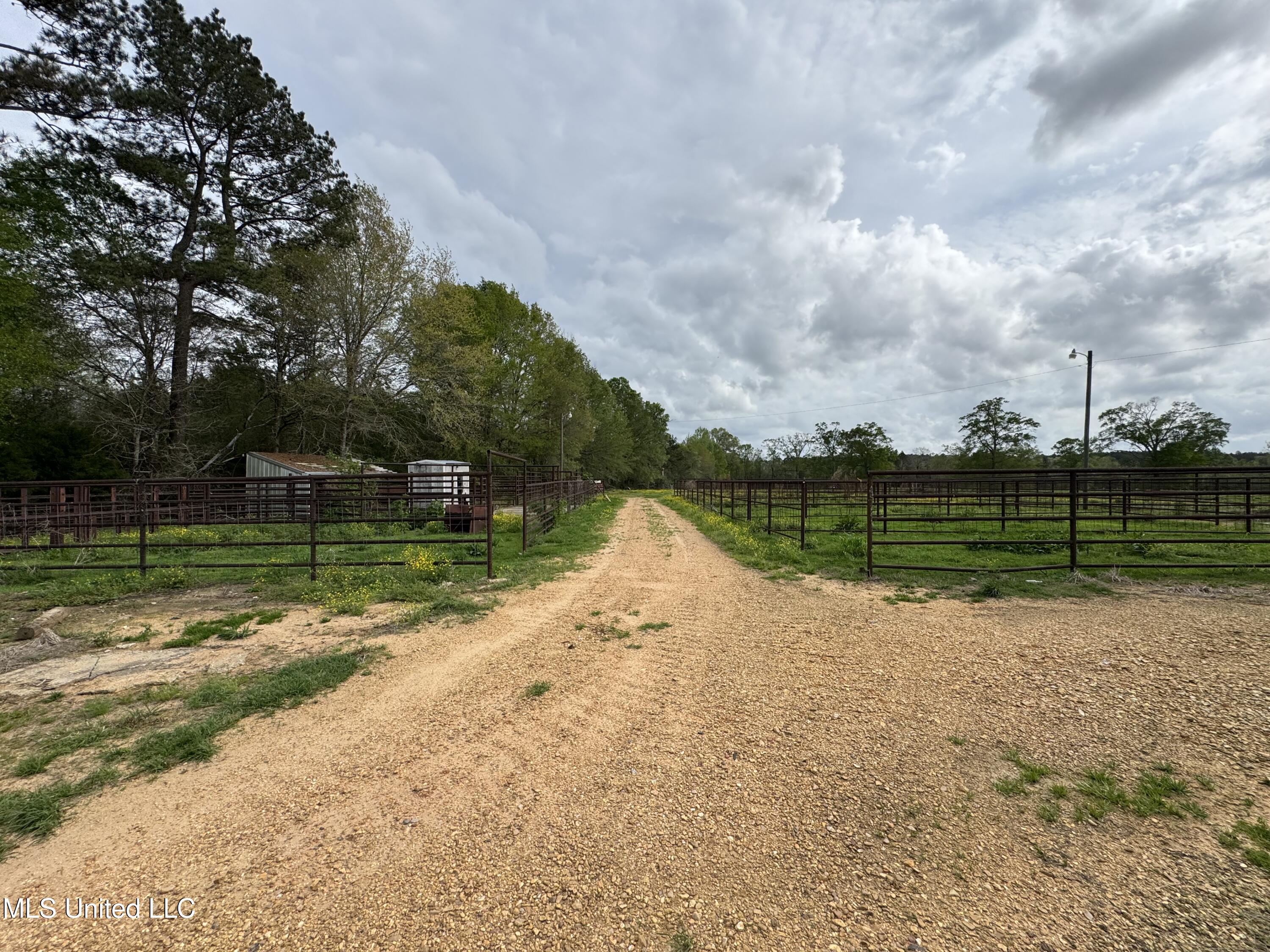 2509 Bogue Chitto Road Property Photo 14
