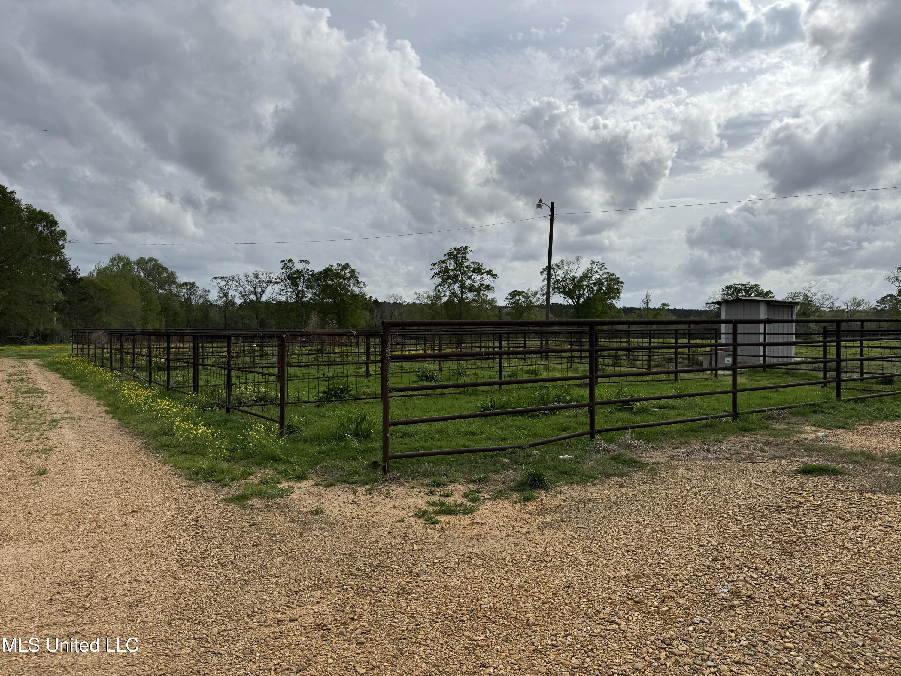 2509 Bogue Chitto Road Property Photo 15