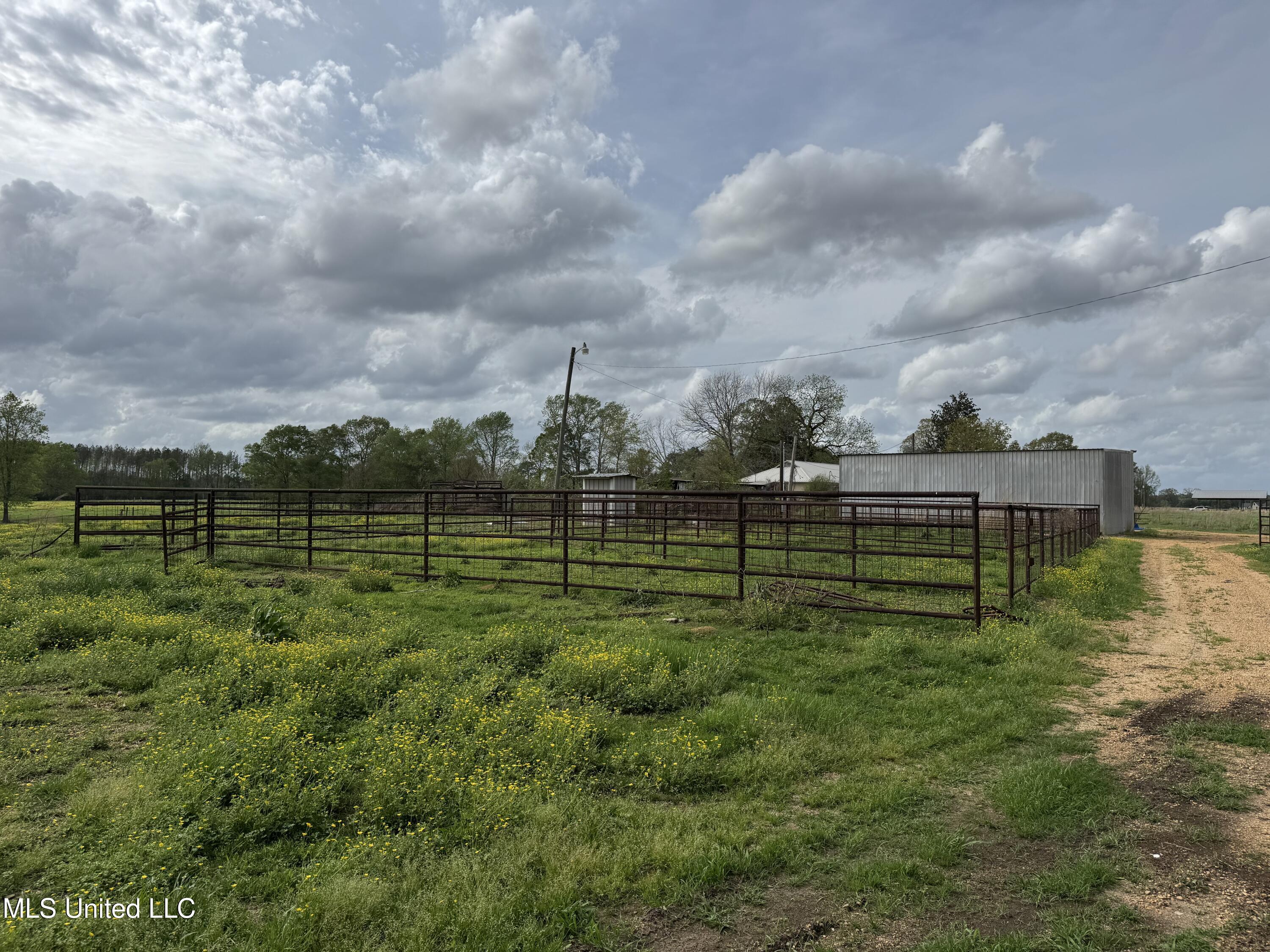 2509 Bogue Chitto Road Property Photo 17