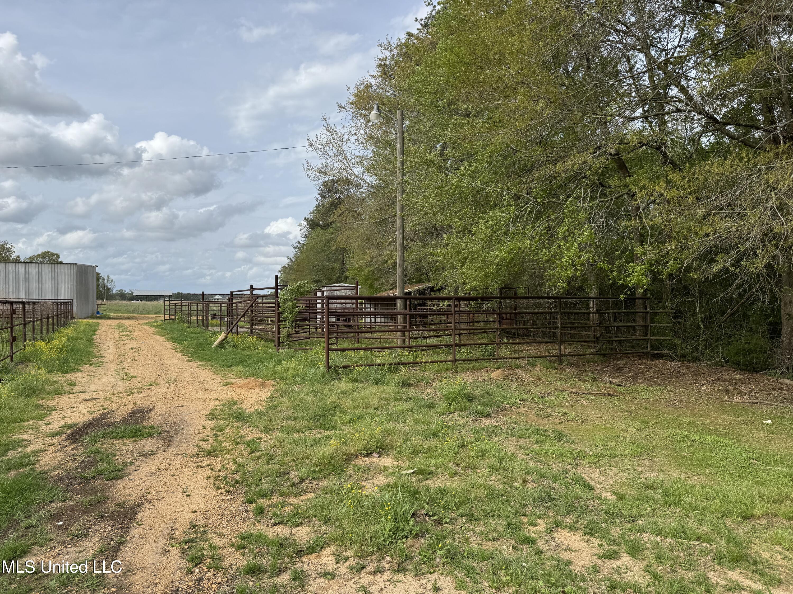 2509 Bogue Chitto Road Property Photo 18