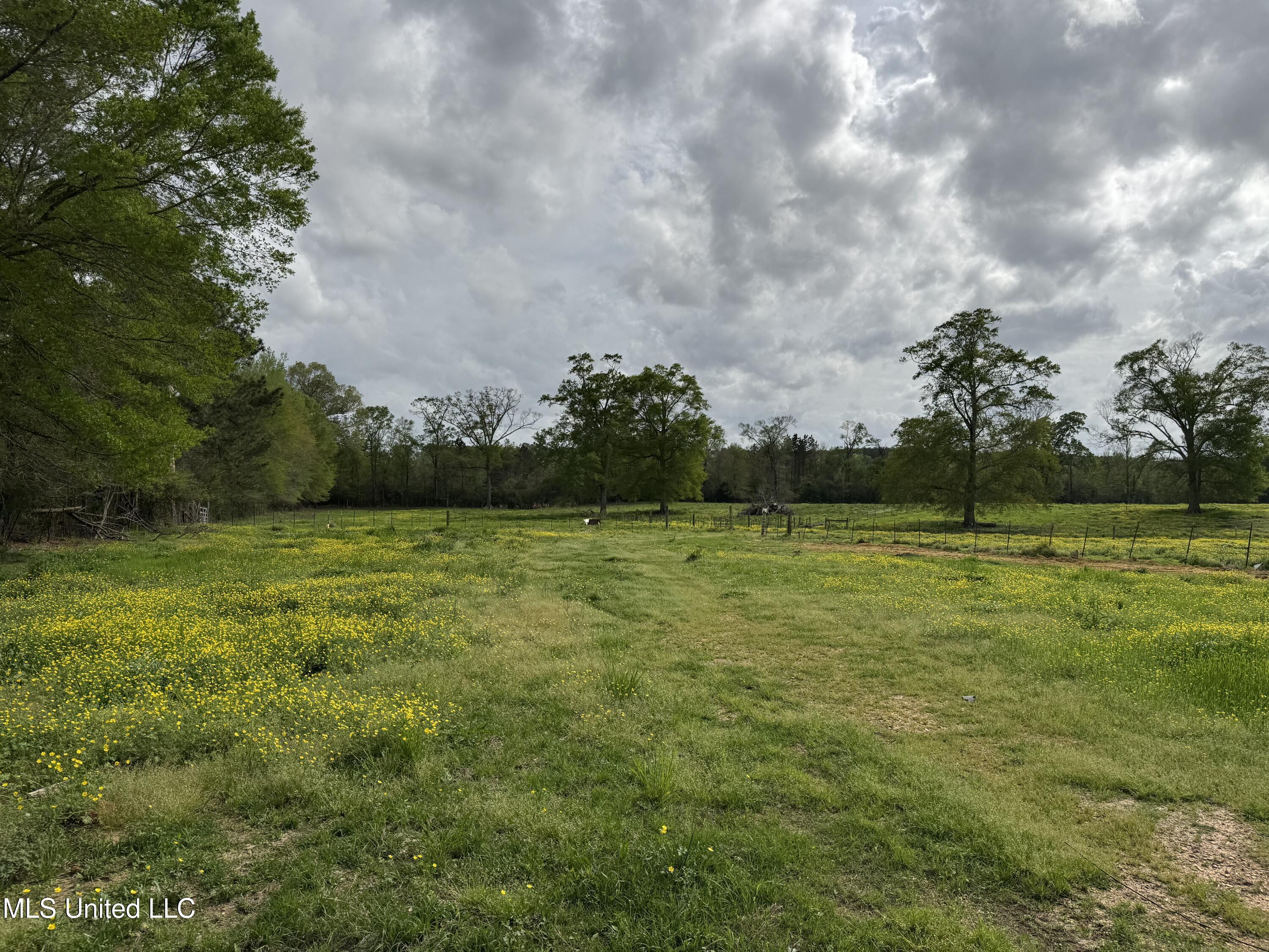 2509 Bogue Chitto Road Property Photo 19